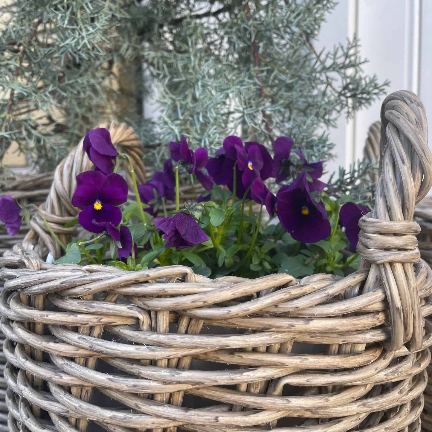 Plantekurve sæt af 3 stk Grå - VIAMAJA.DK