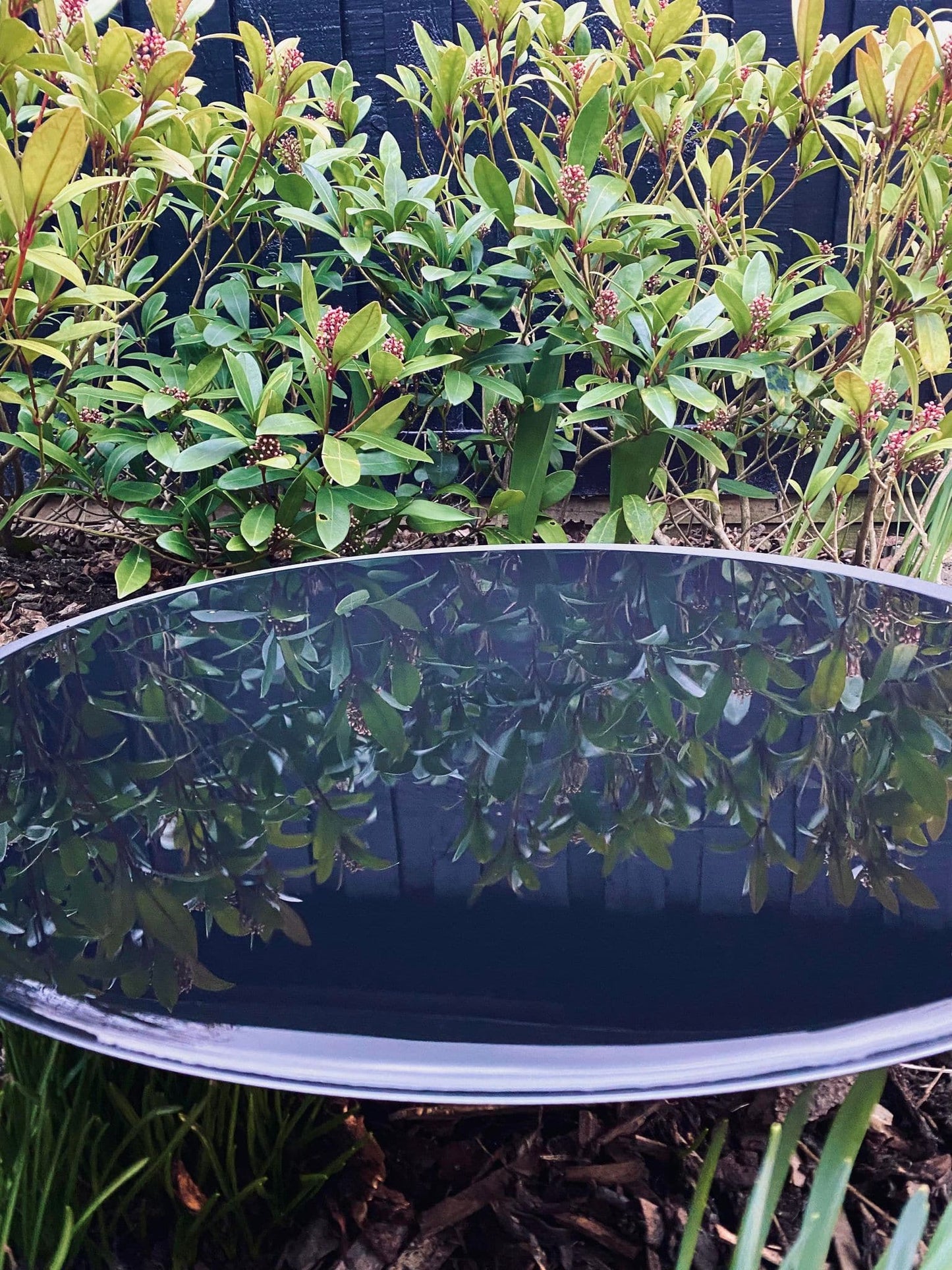 Ring til spejlbassin - Dia 33 Black - VIAMAJA.DK