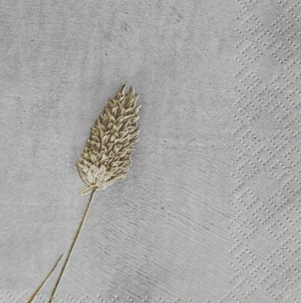 Servietter, Grass 2, Lysegrå - VIAMAJA.DK