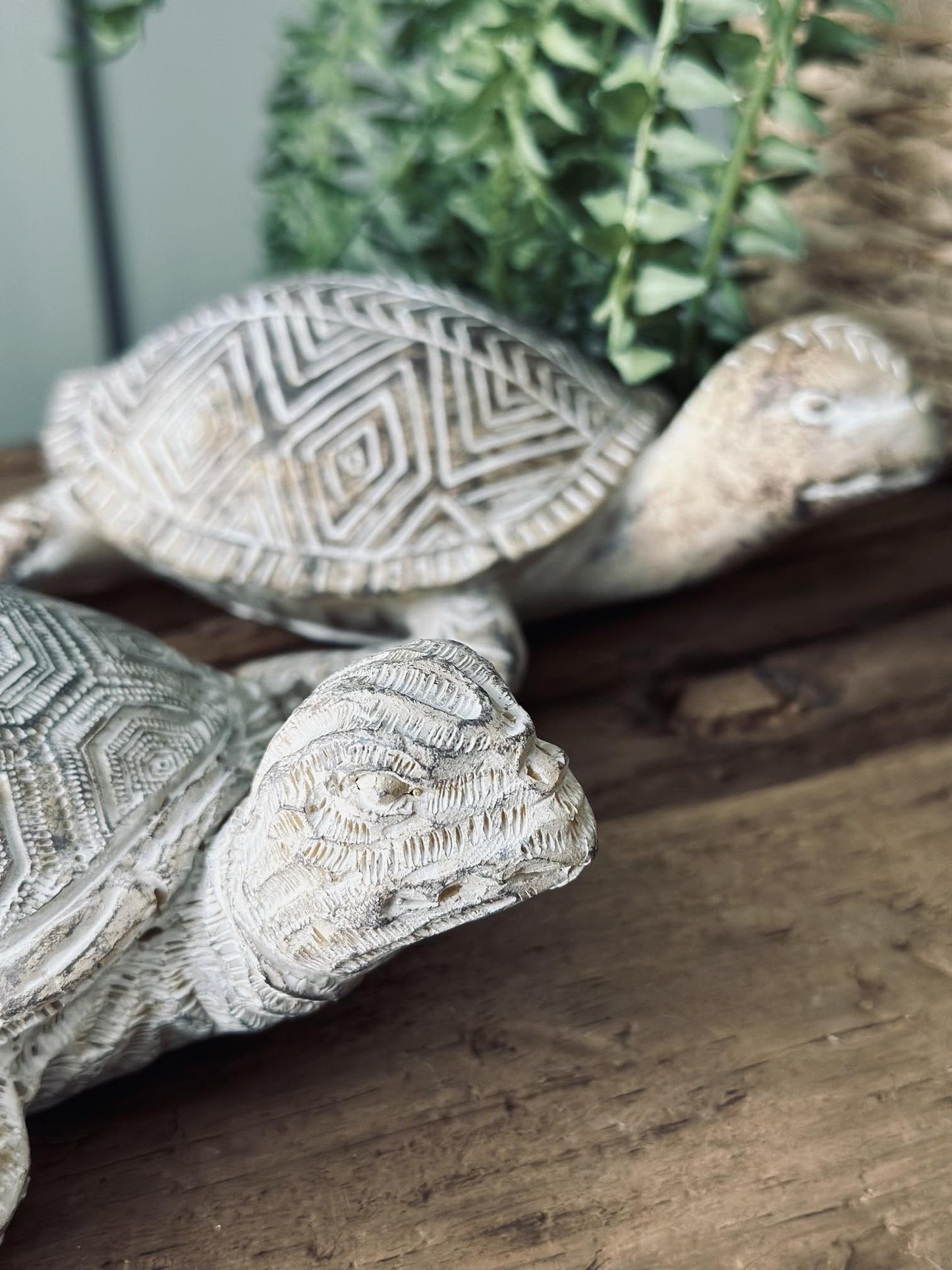 Skildpadde – Havepynt - VIAMAJA.DK