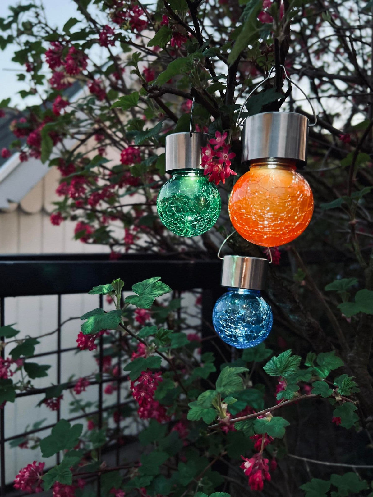 Solcelle LED pære med ophæng - 3 stk COLOR - VIAMAJA.DK