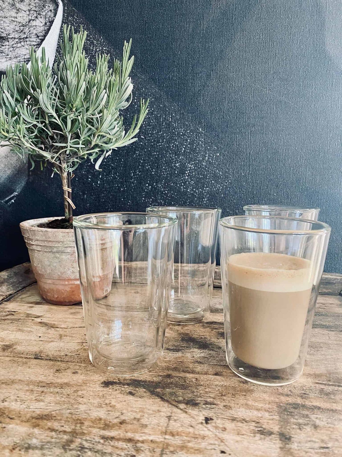 Termoglas 300ml – pakke med 4stk - VIAMAJA.DK