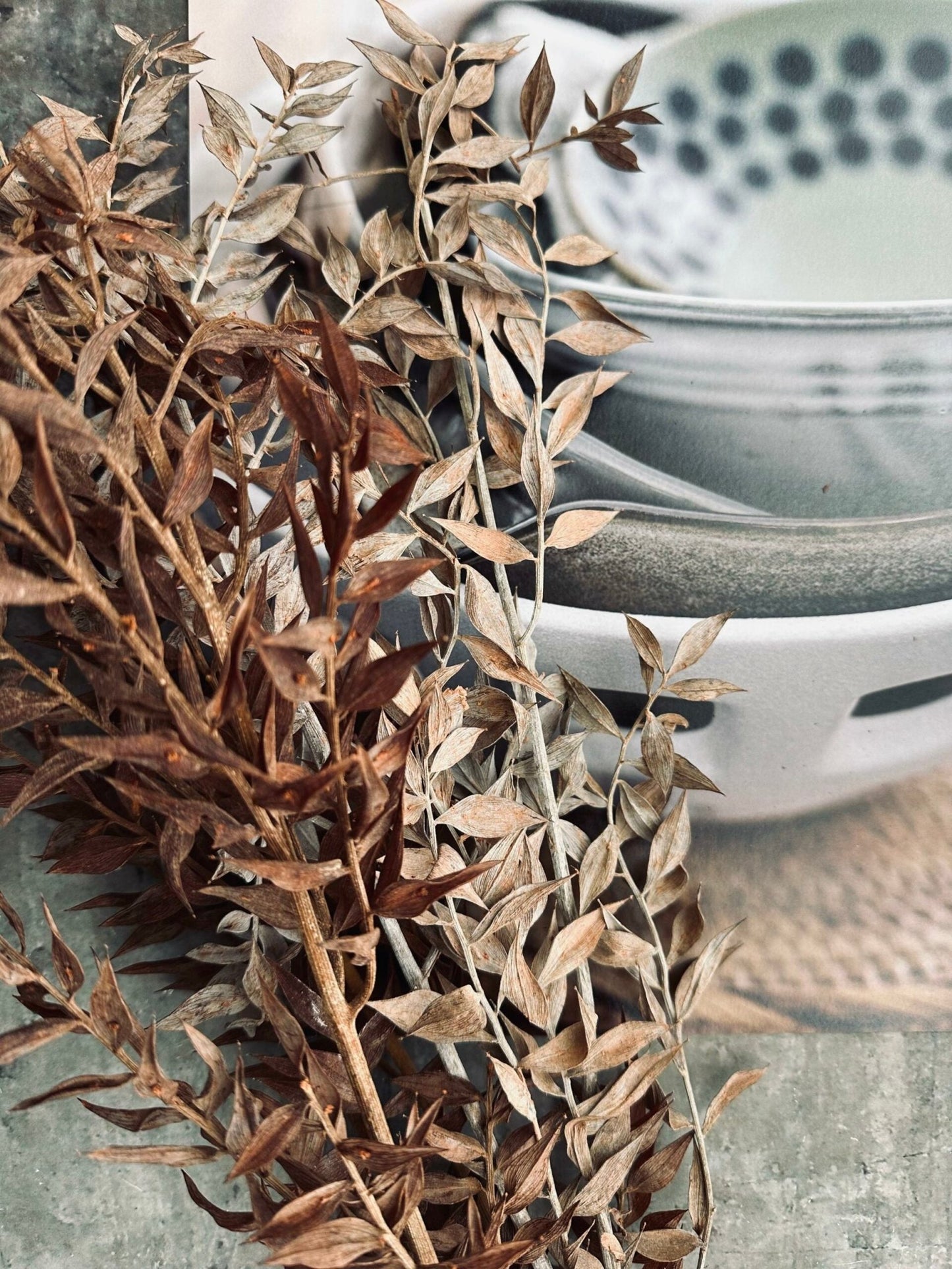 Tørret blomster – Brown ROSSA - VIAMAJA.DK