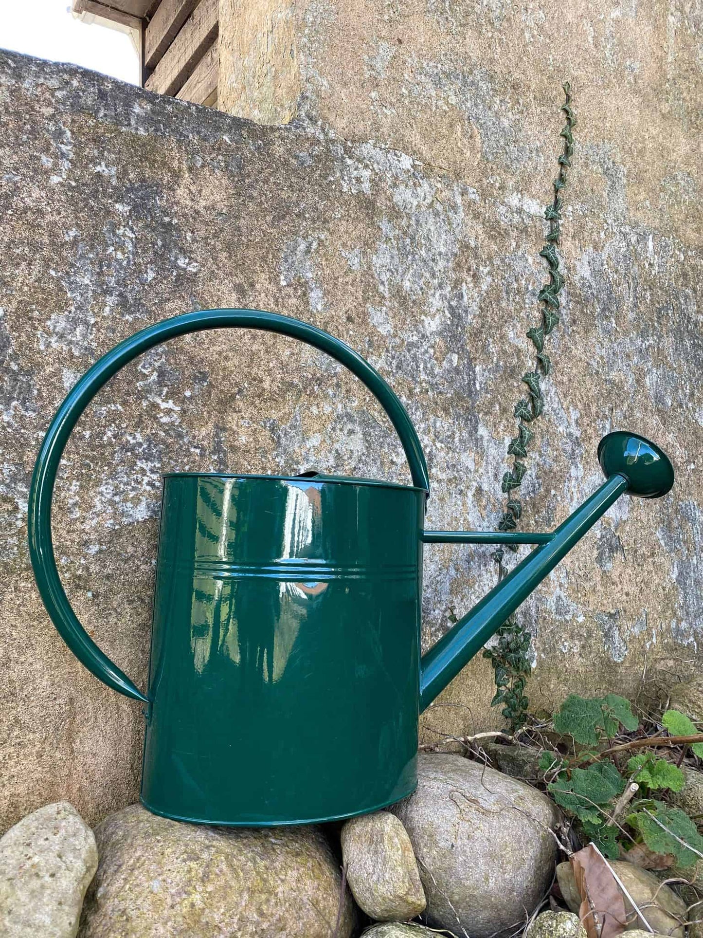 Vandkande – Grøn 10 Liter - VIAMAJA.DK