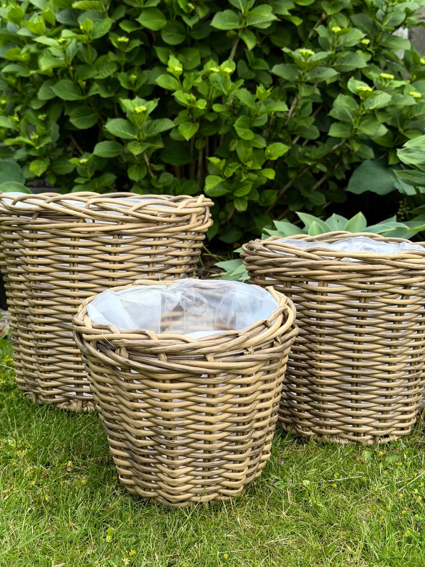 Plantekurve i natur - 3 stk