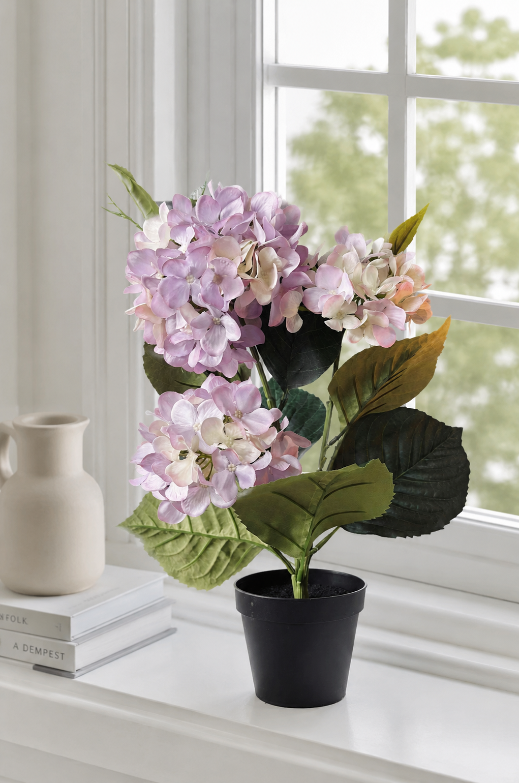 Hortensia i potte - Syren