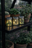 Mini Lanterne med solar - MIX