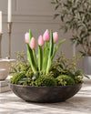 Tulipan i potte - Rosa