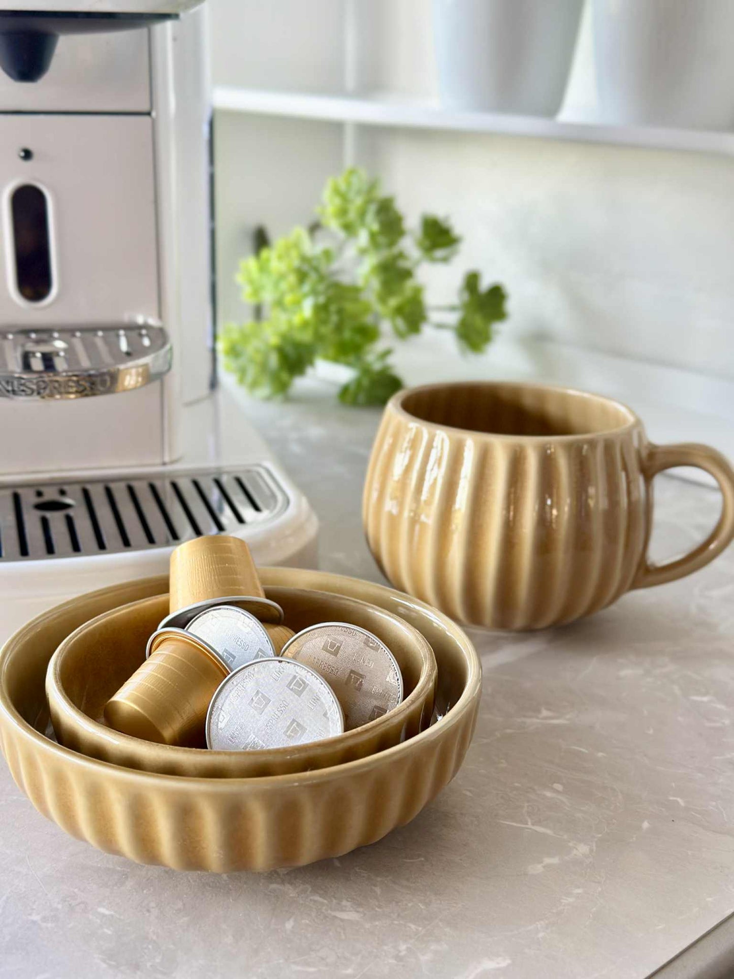 Krus VIGA Strib - Sennep