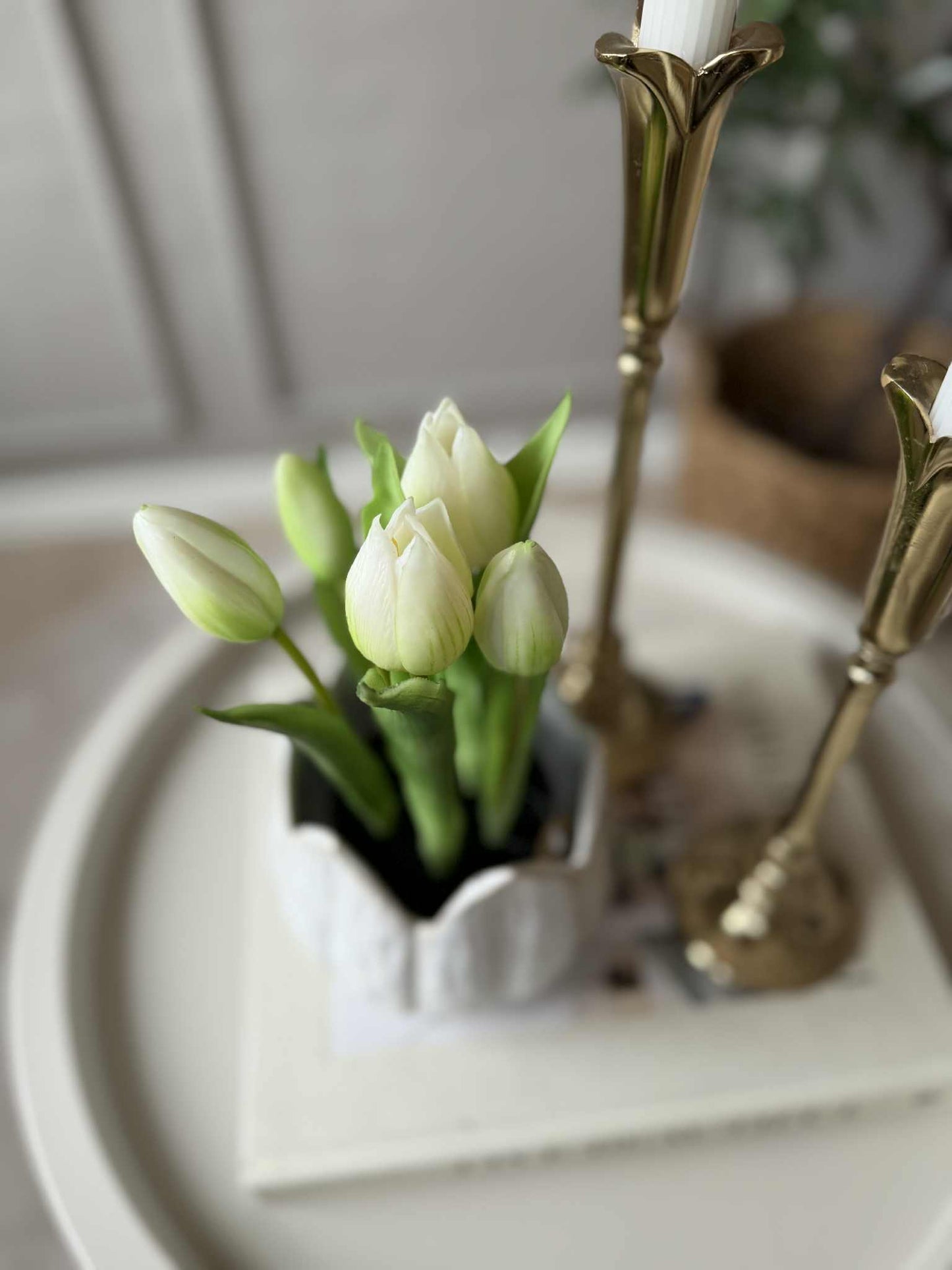 Tulipan i potte - Hvid