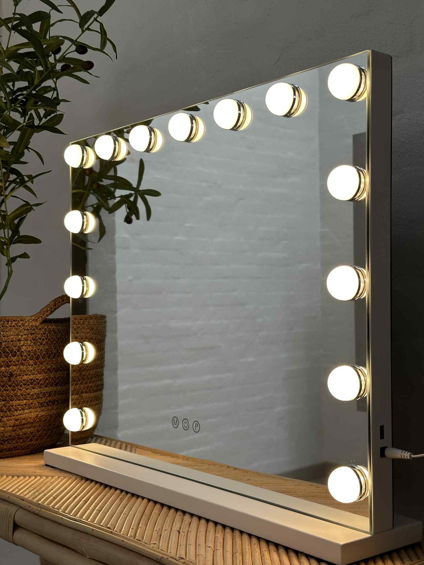 Hollywood Makeup spejl med lys