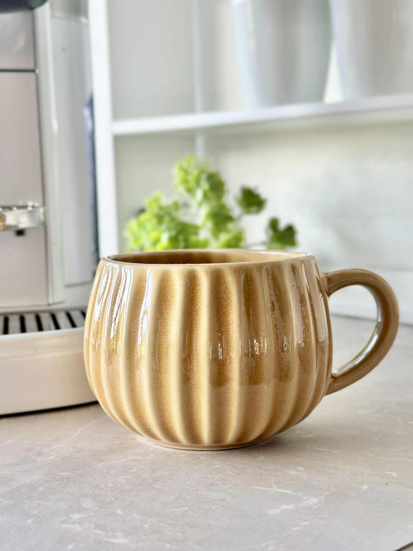 Krus VIGA Strib - Sennep