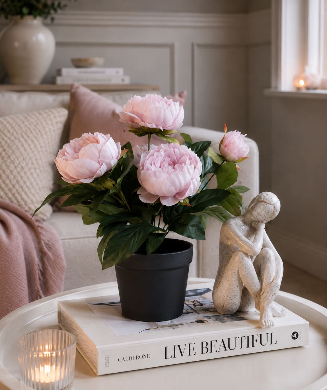 Pæon i potte - Rosa