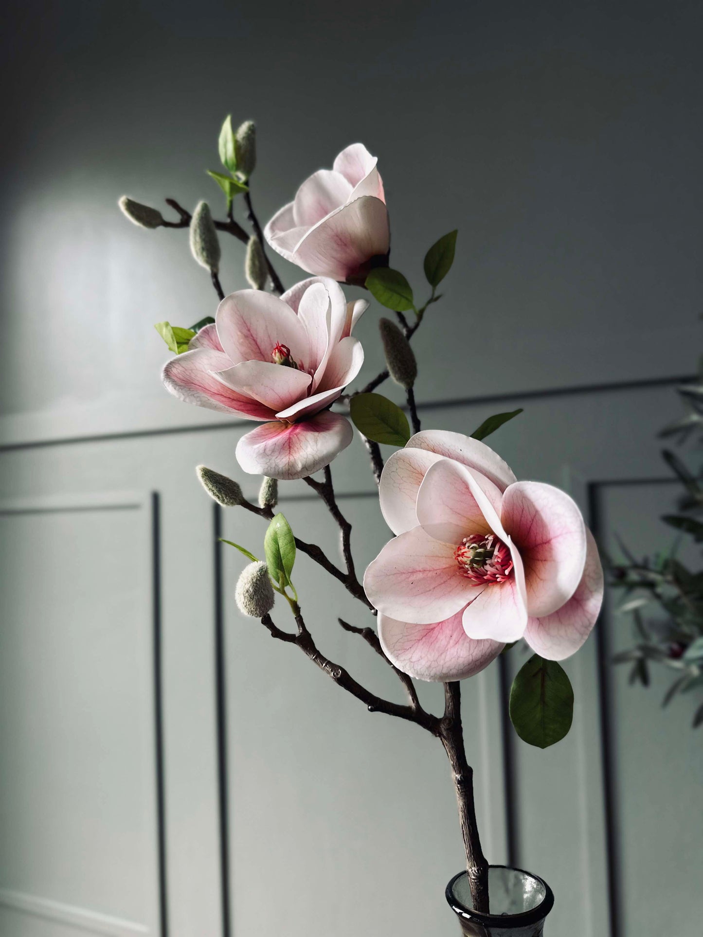 Blomst Magnolia - Rosa