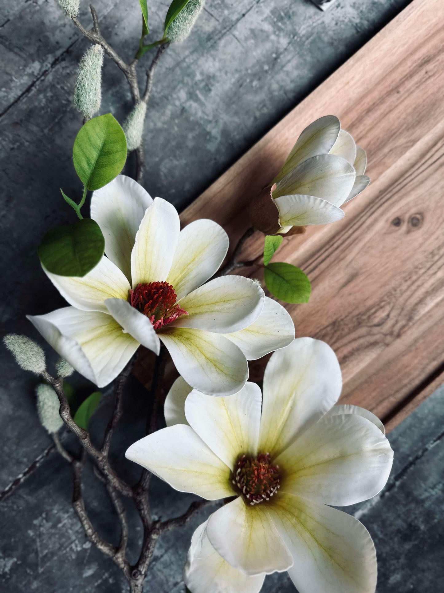Blomst Magnolia - Hvid