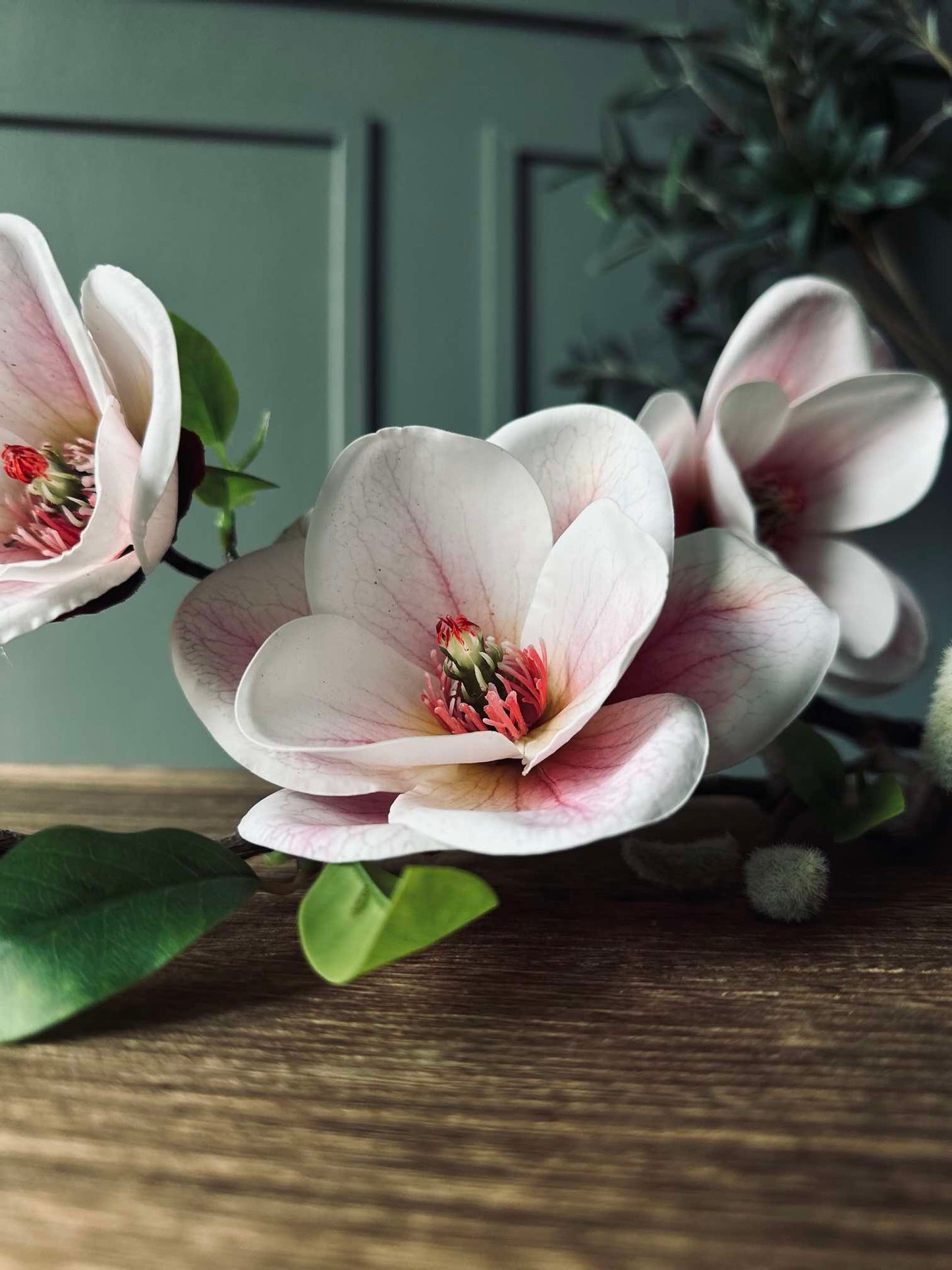 Blomst Magnolia - Rosa