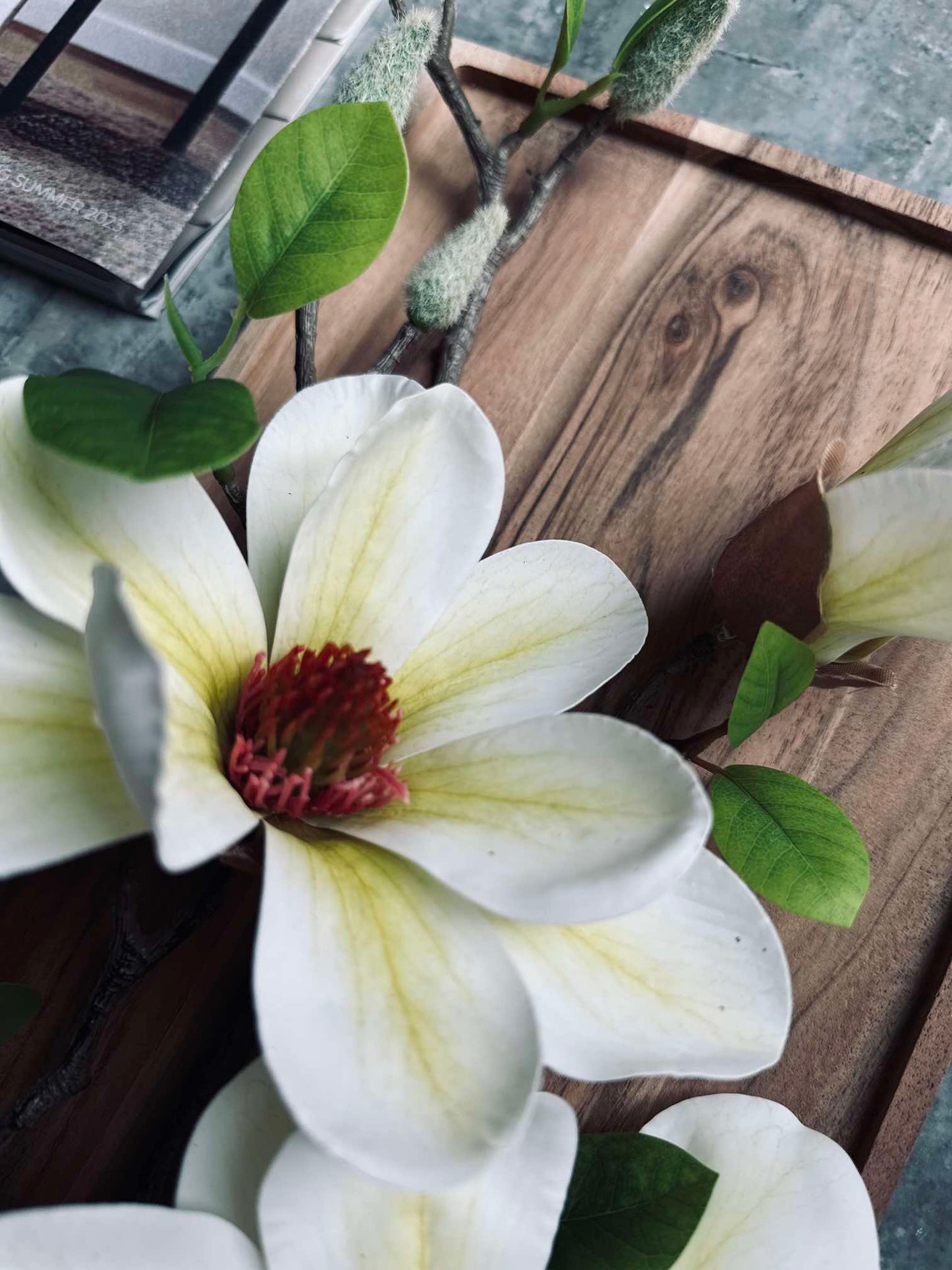 Blomst Magnolia - Hvid