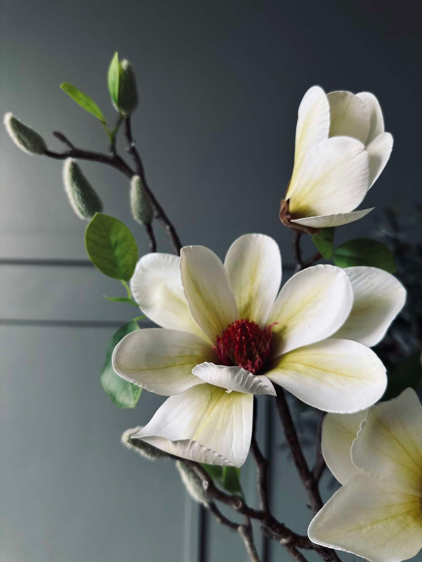 Blomst Magnolia - Hvid