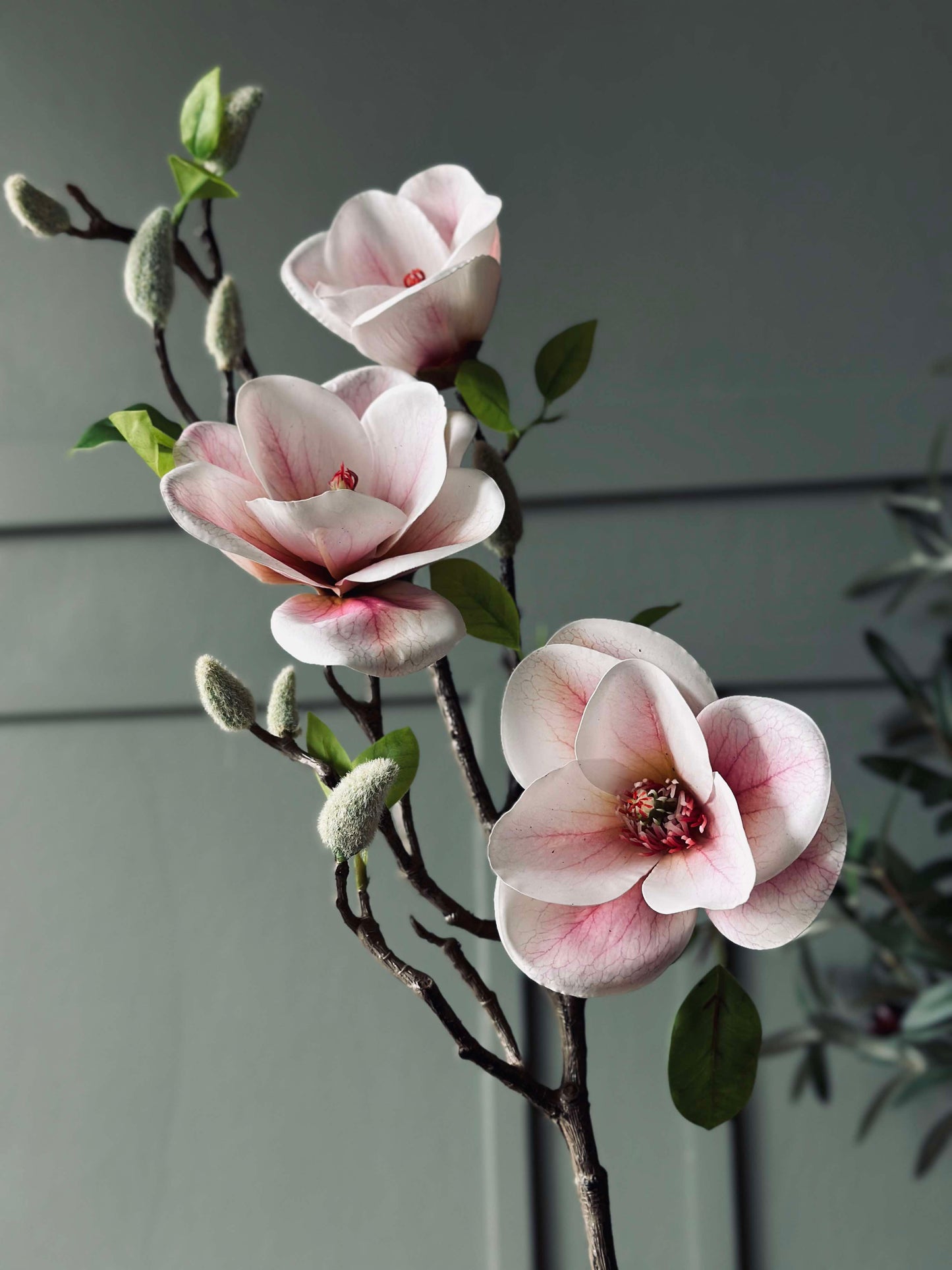 Blomst Magnolia - Rosa
