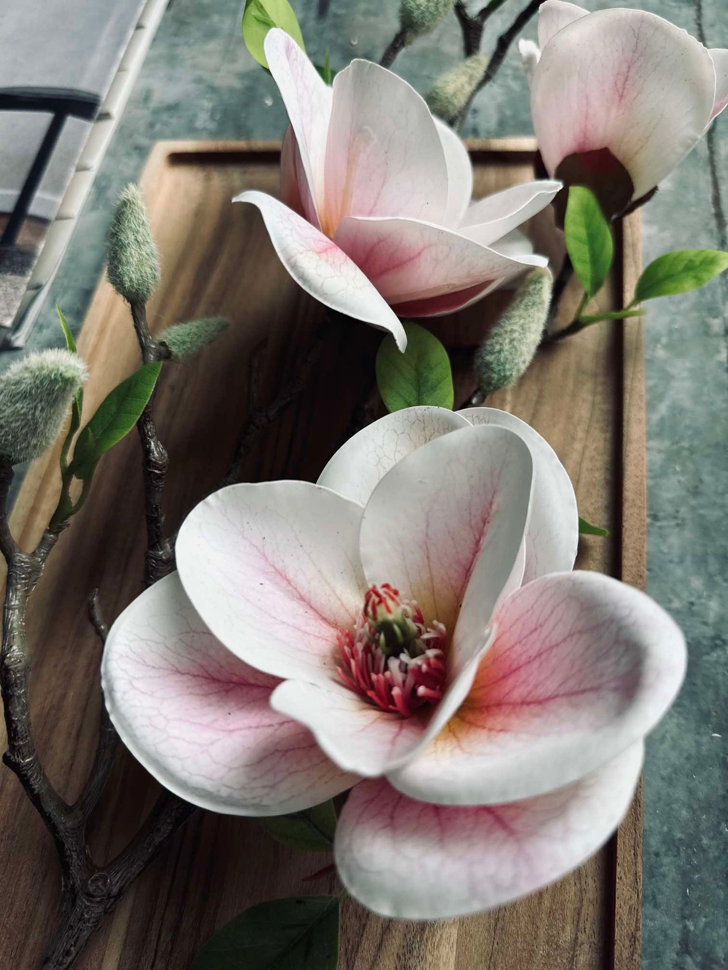 Blomst Magnolia - Rosa