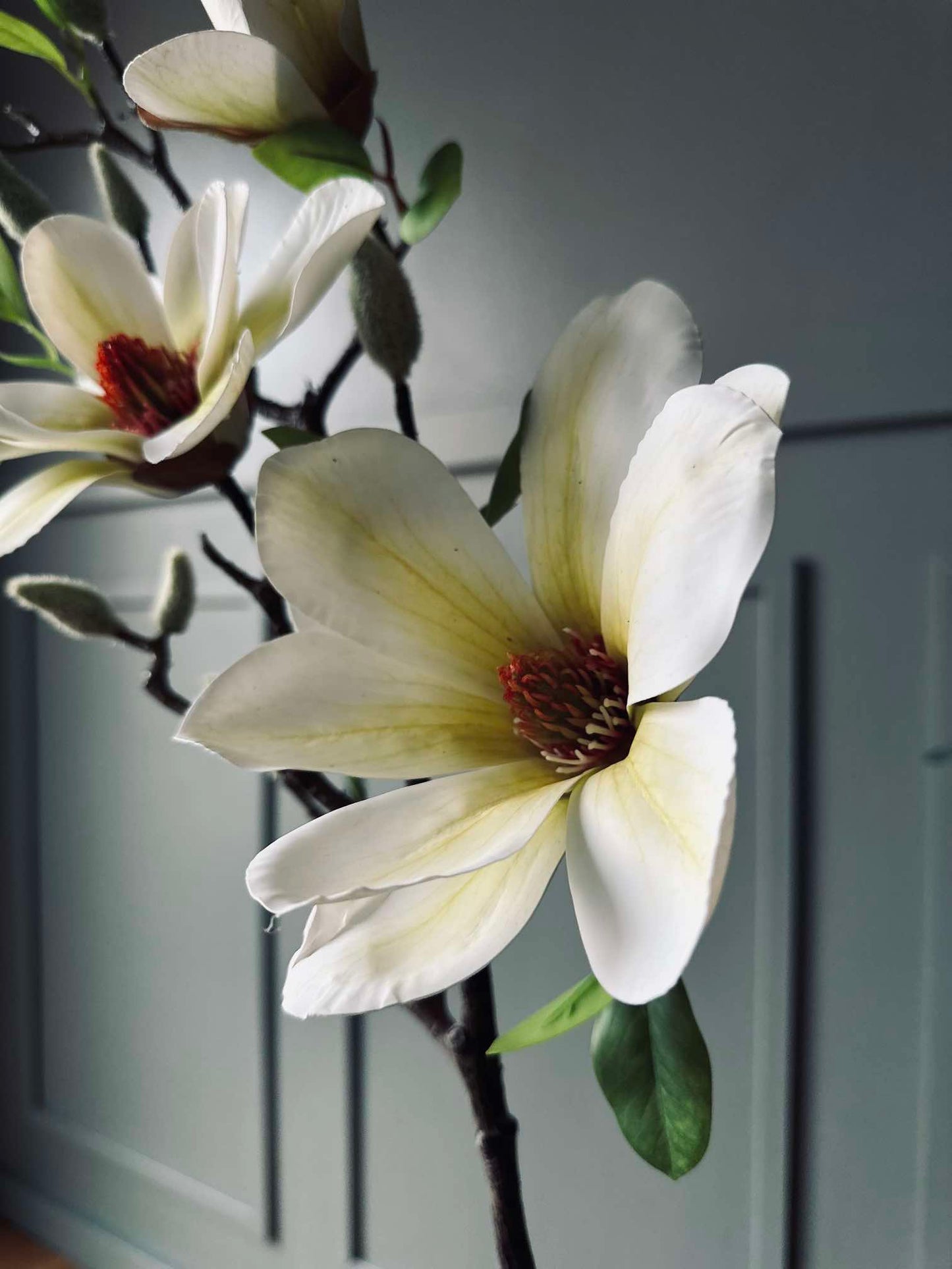 Blomst Magnolia - Hvid