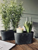 Urtepotte oval - Beton look stor
