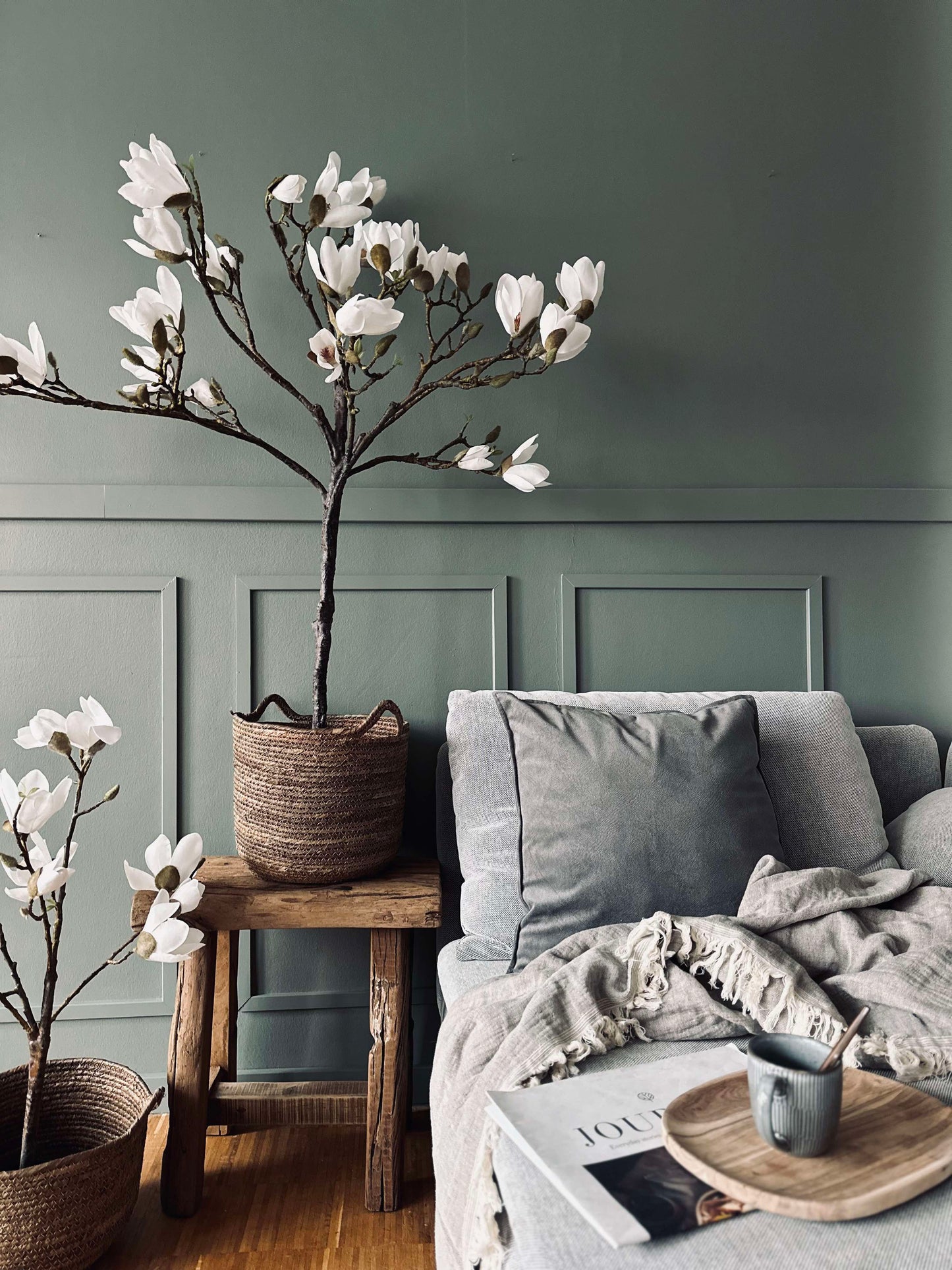 Magnoliatræ i potte - 120 cm Hvid