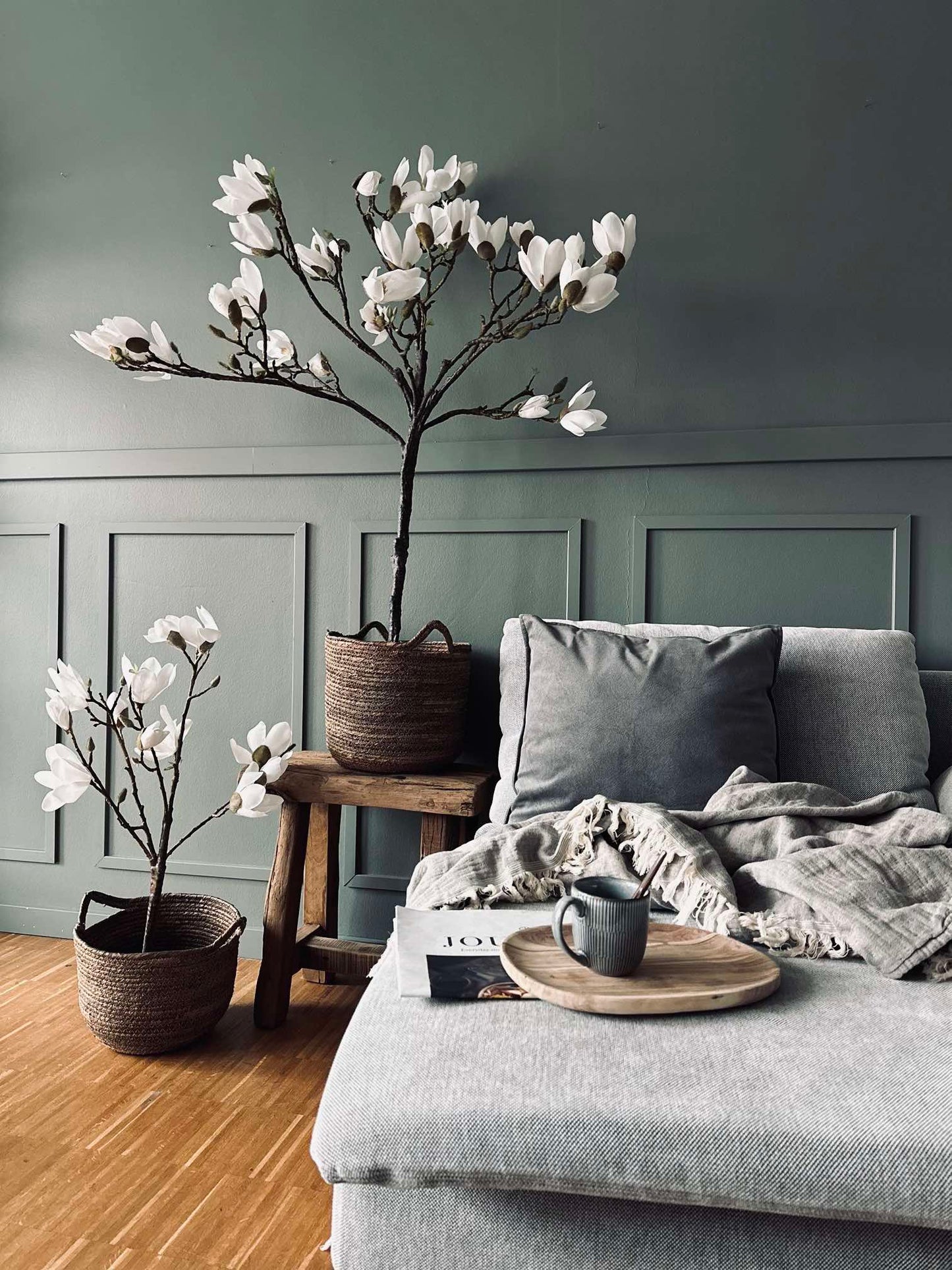 Magnoliatræ i potte - 120 cm Hvid