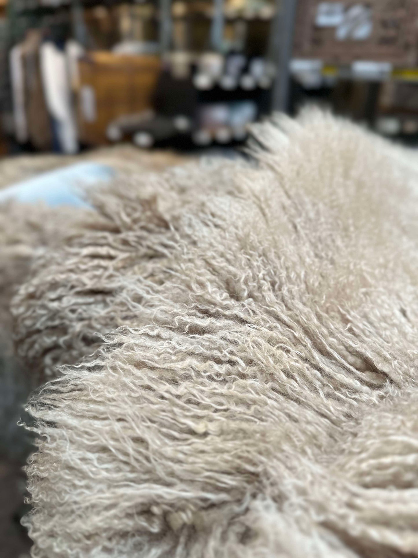 Islandsk lammeskind – Moccachino