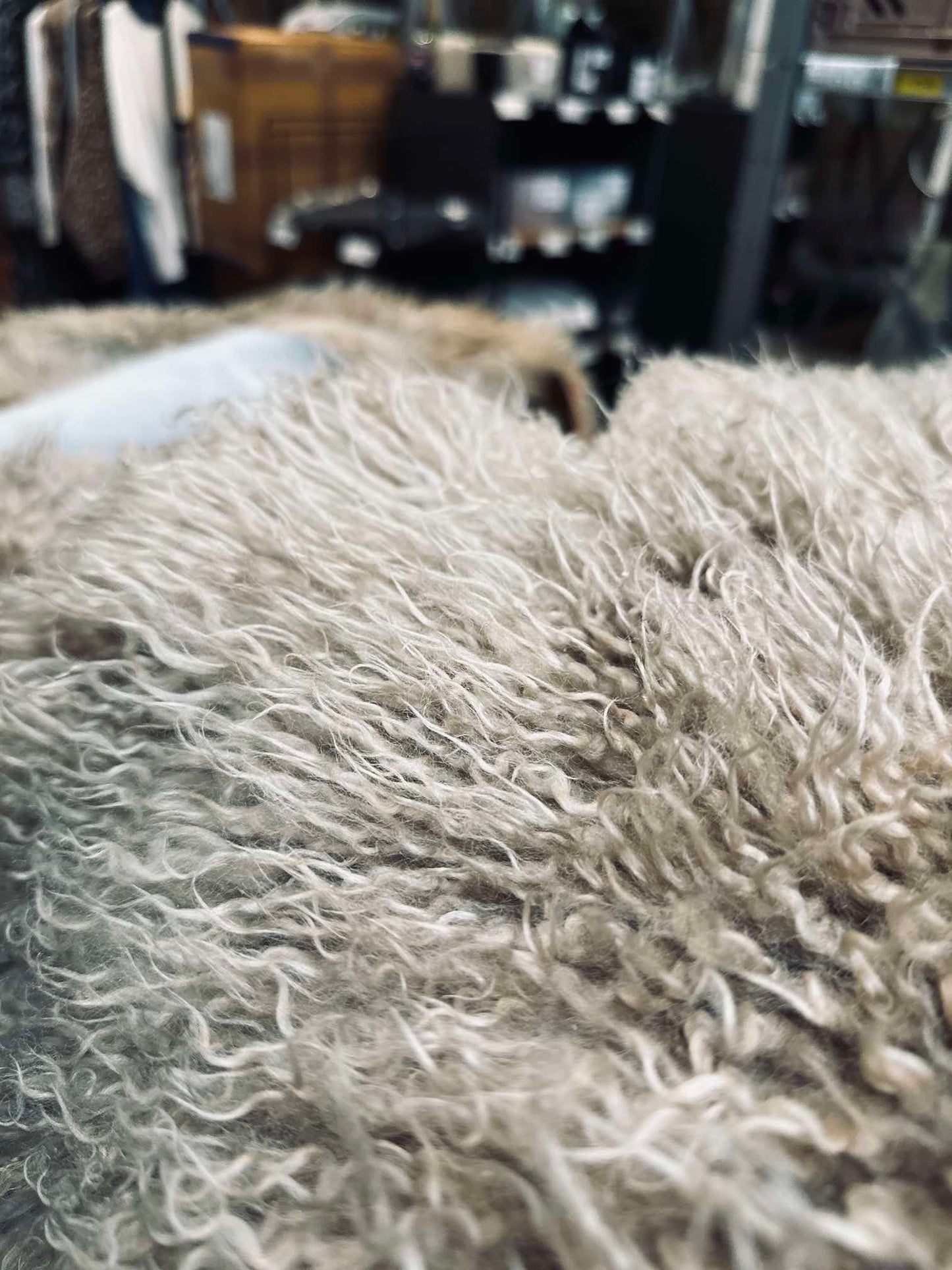 Islandsk lammeskind – Moccachino