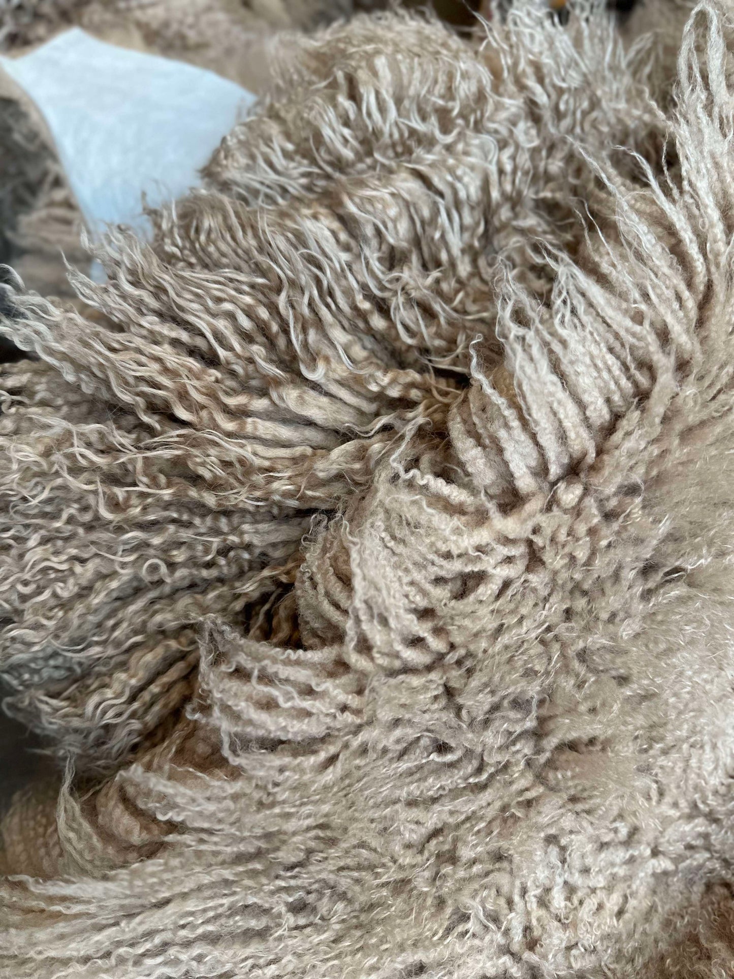 Islandsk lammeskind – Moccachino