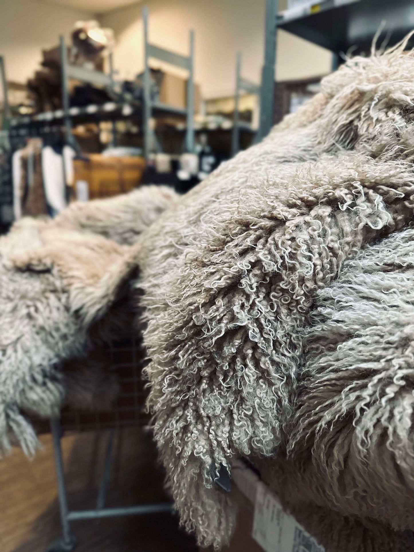 Islandsk lammeskind – Moccachino