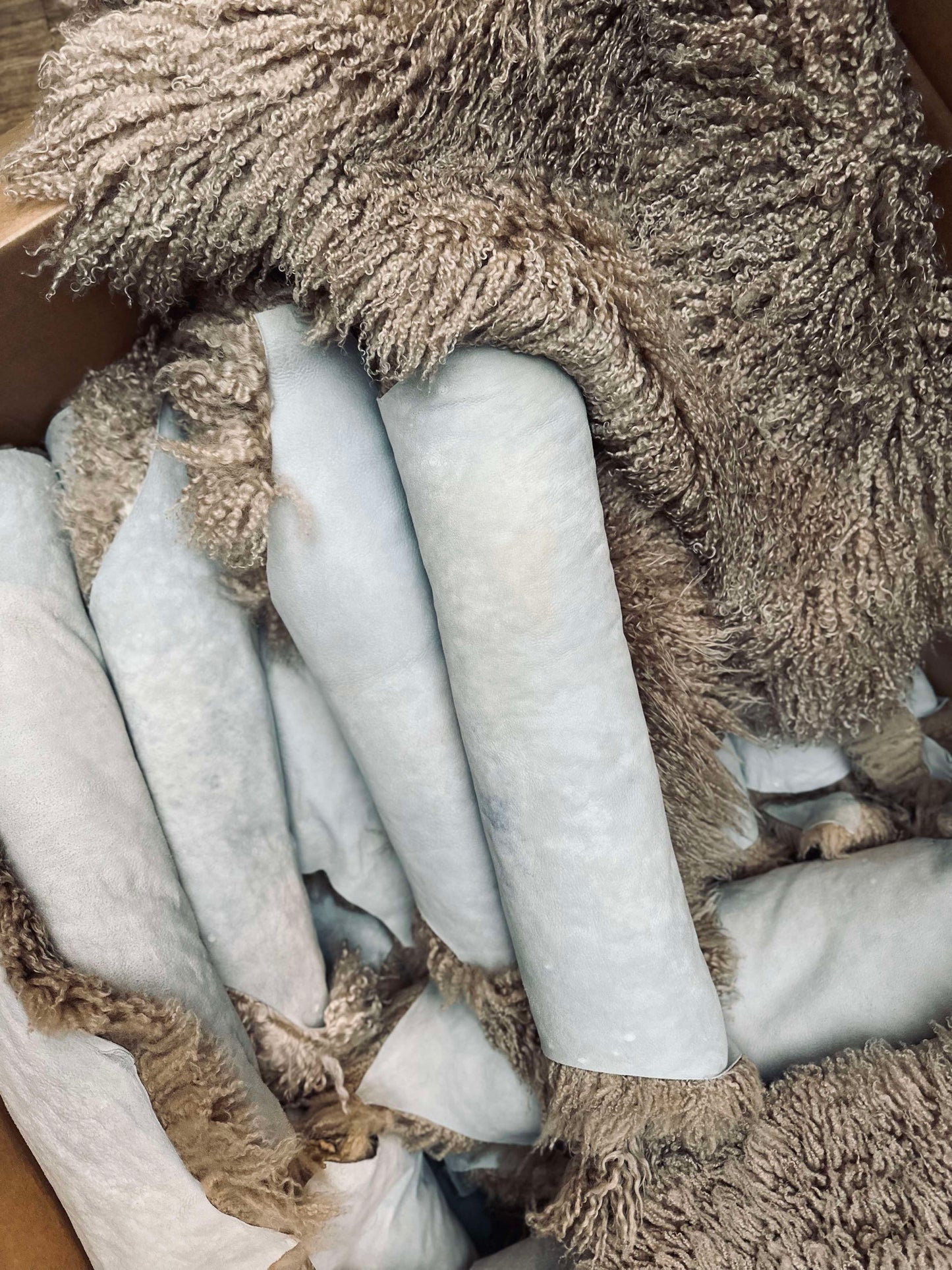 Islandsk lammeskind – Moccachino