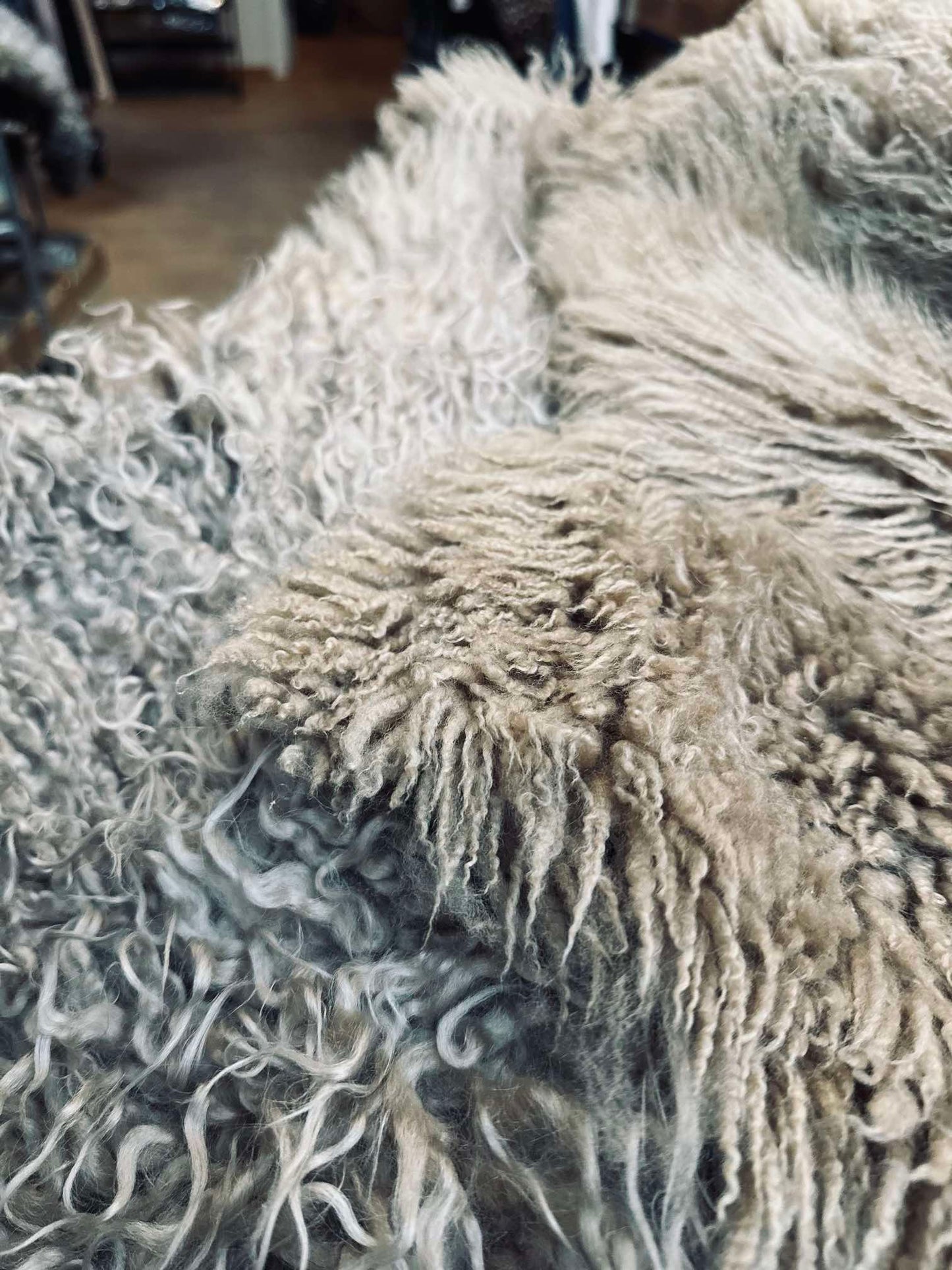 Islandsk lammeskind – Moccachino