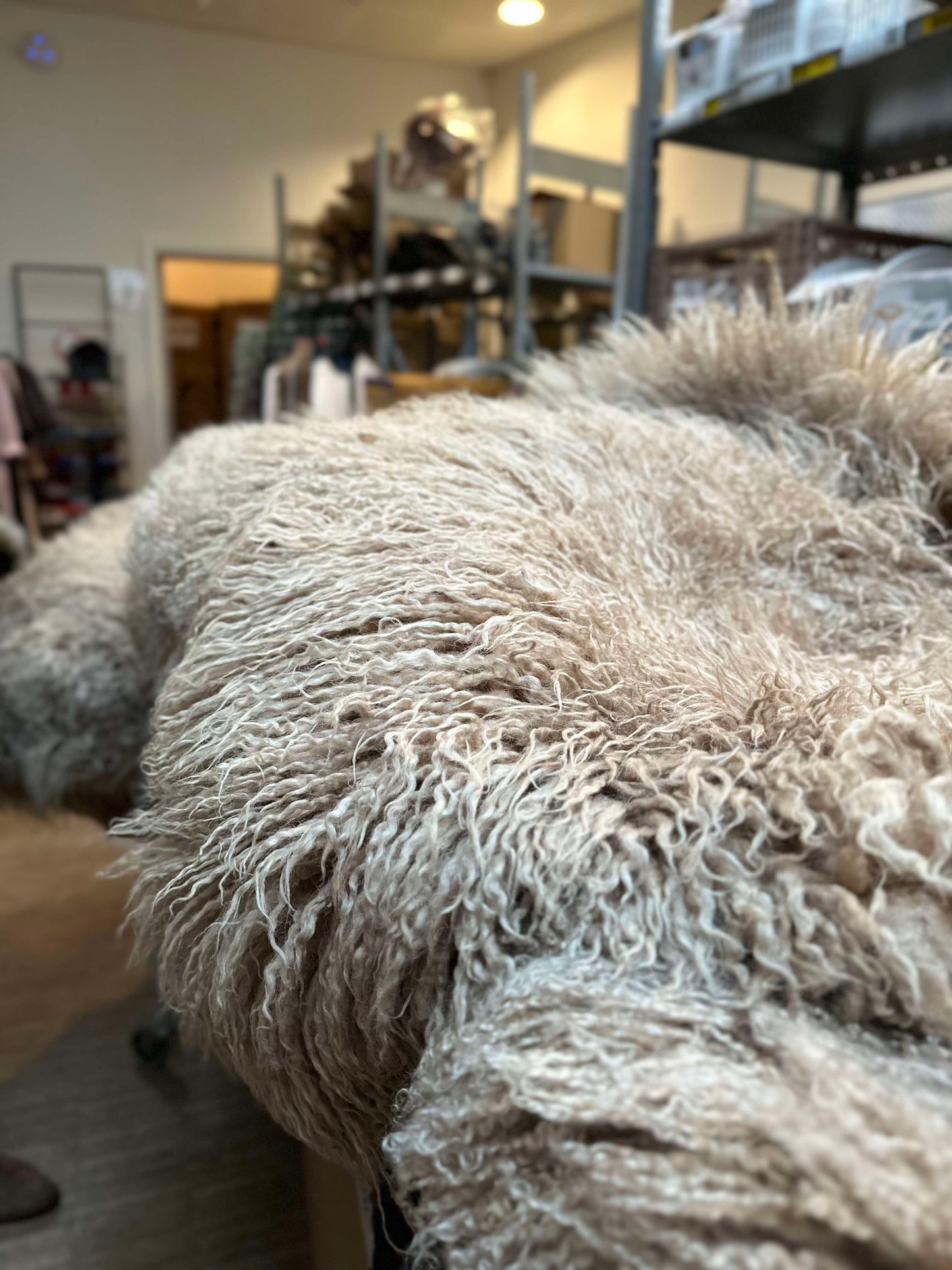 Islandsk lammeskind – Moccachino