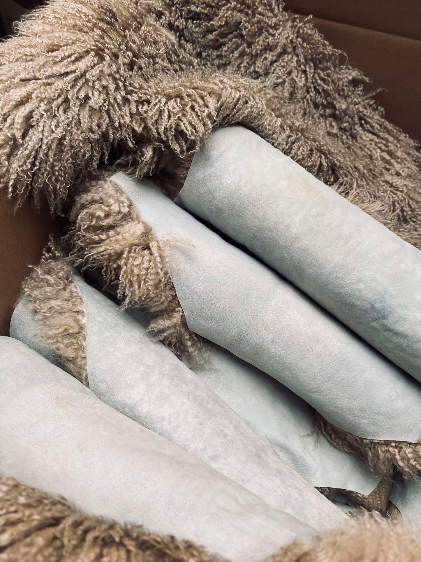 Islandsk lammeskind – Moccachino