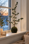 Cedertræ med lyskæde 65cm