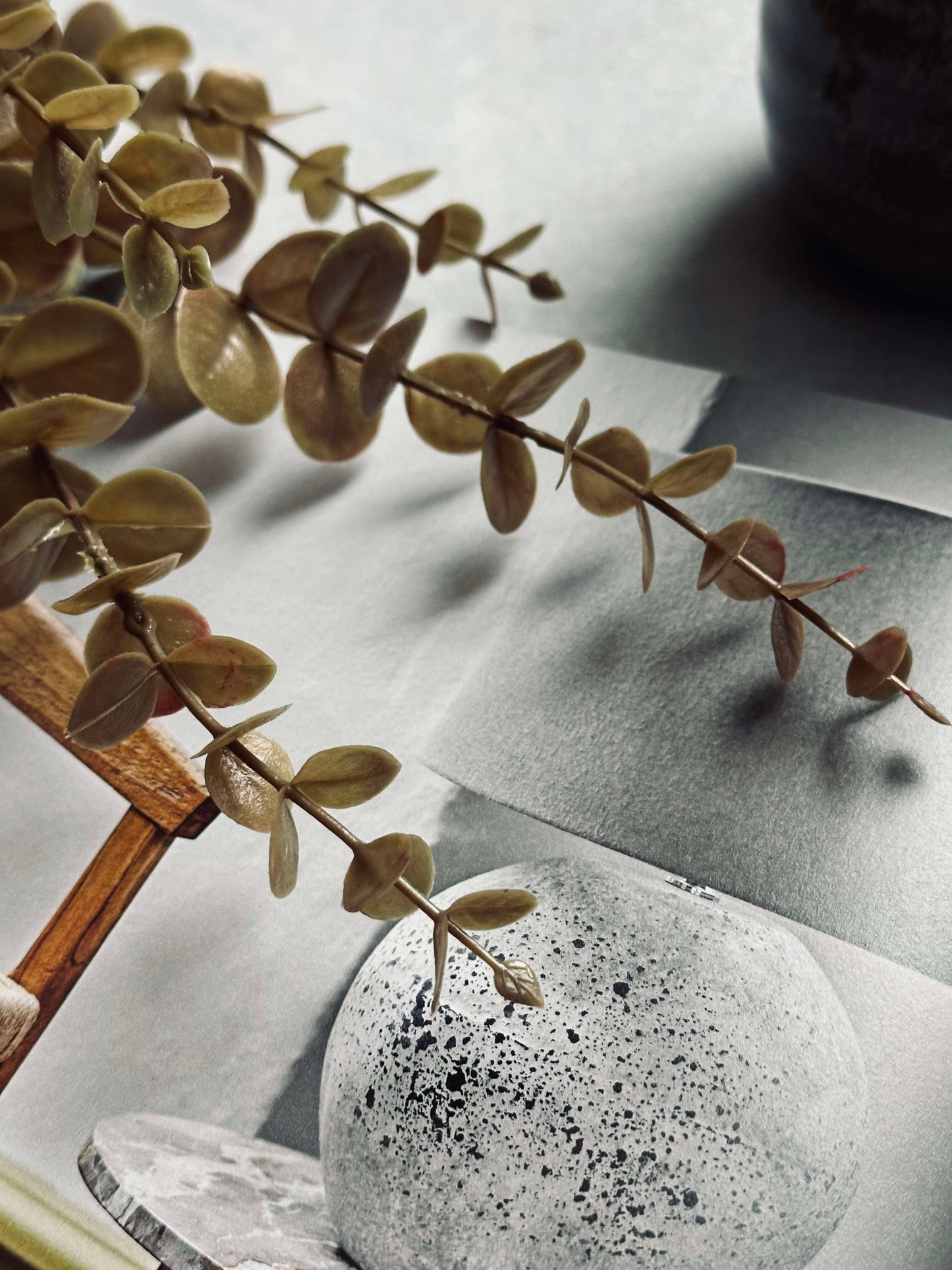 Blomster eucalyptus - Gylden