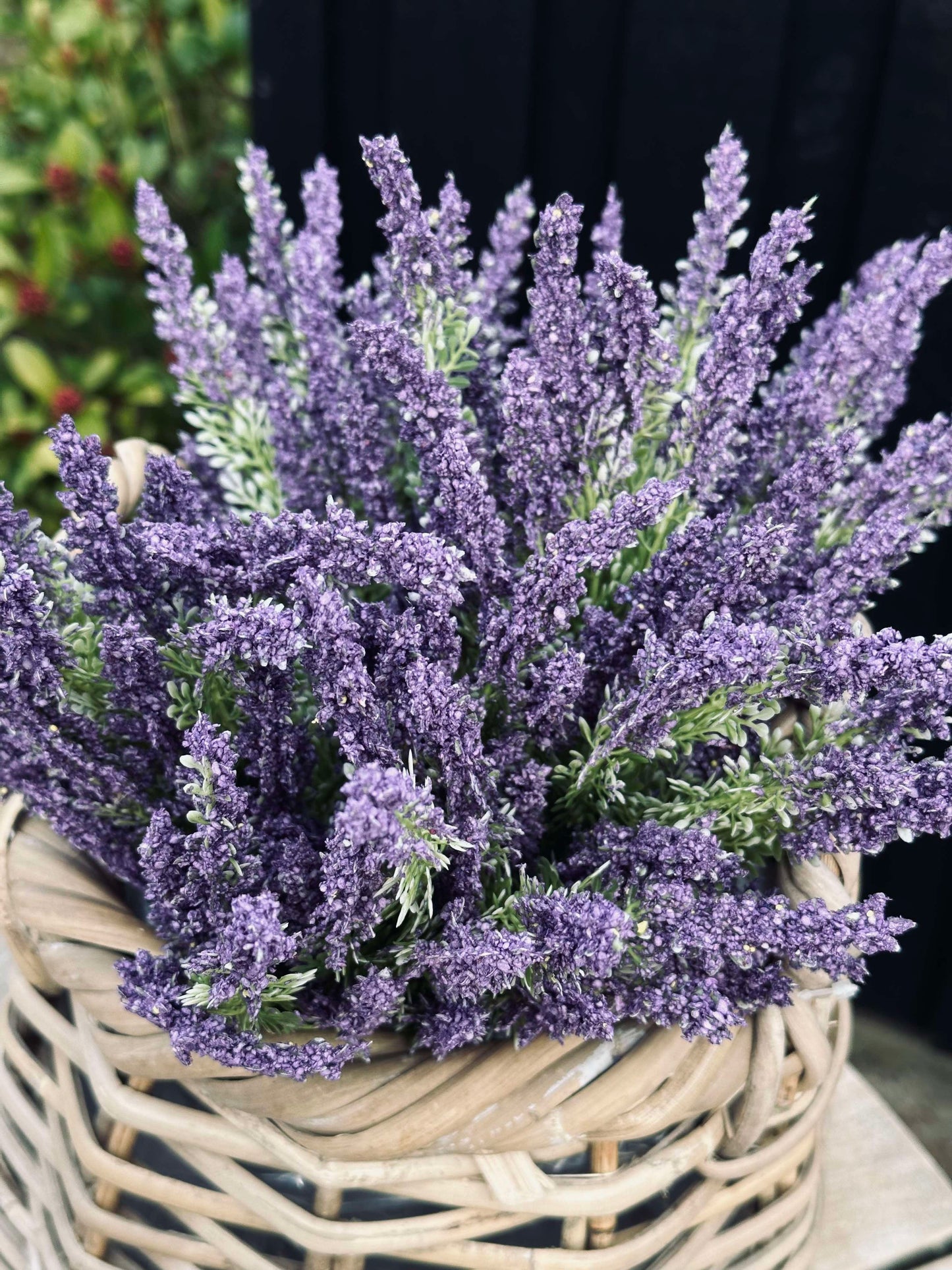 Lavendel på stilk
