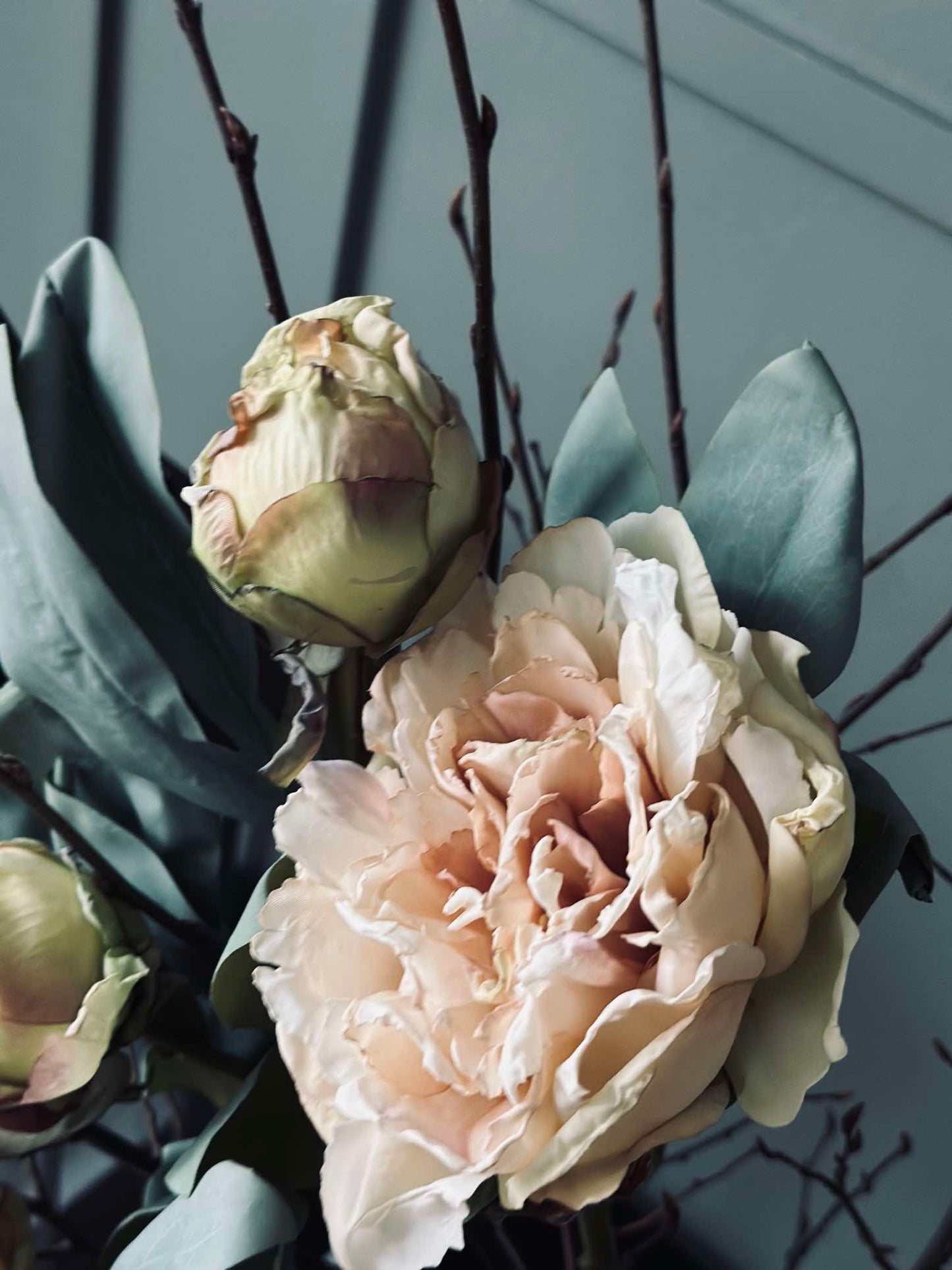 Blomst Pæon Creme