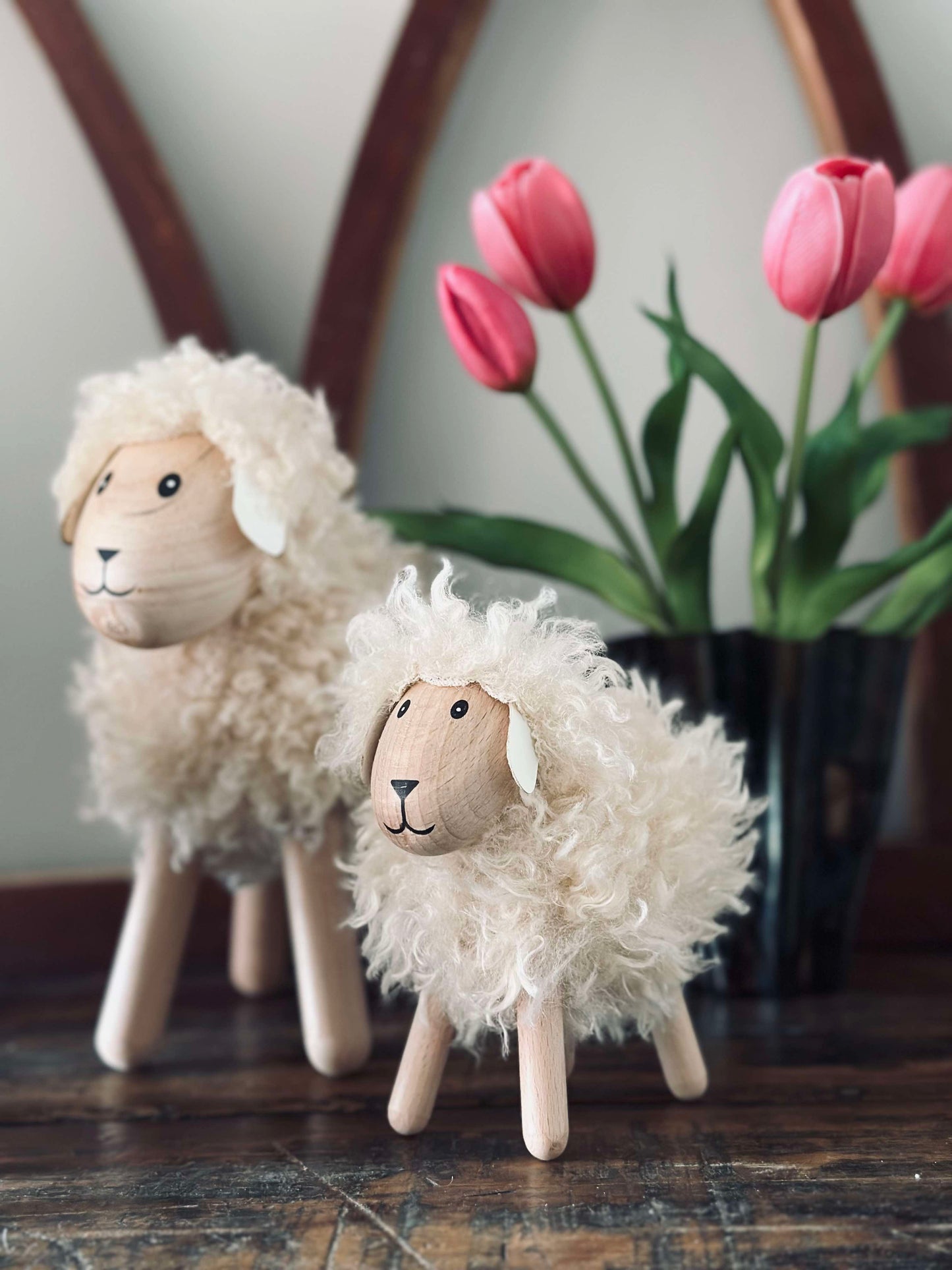 Får med langhåret pels - Natur