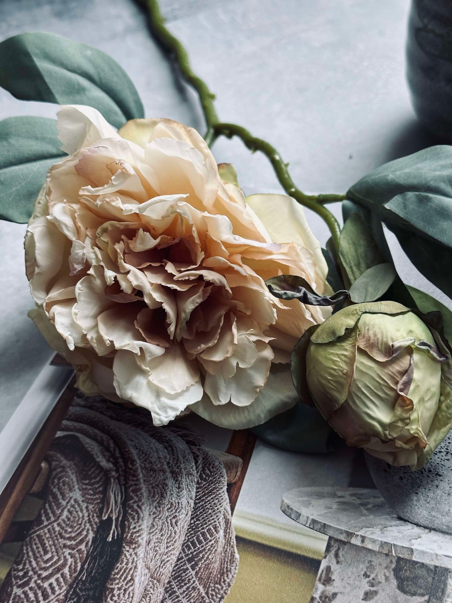 Blomst Pæon Creme
