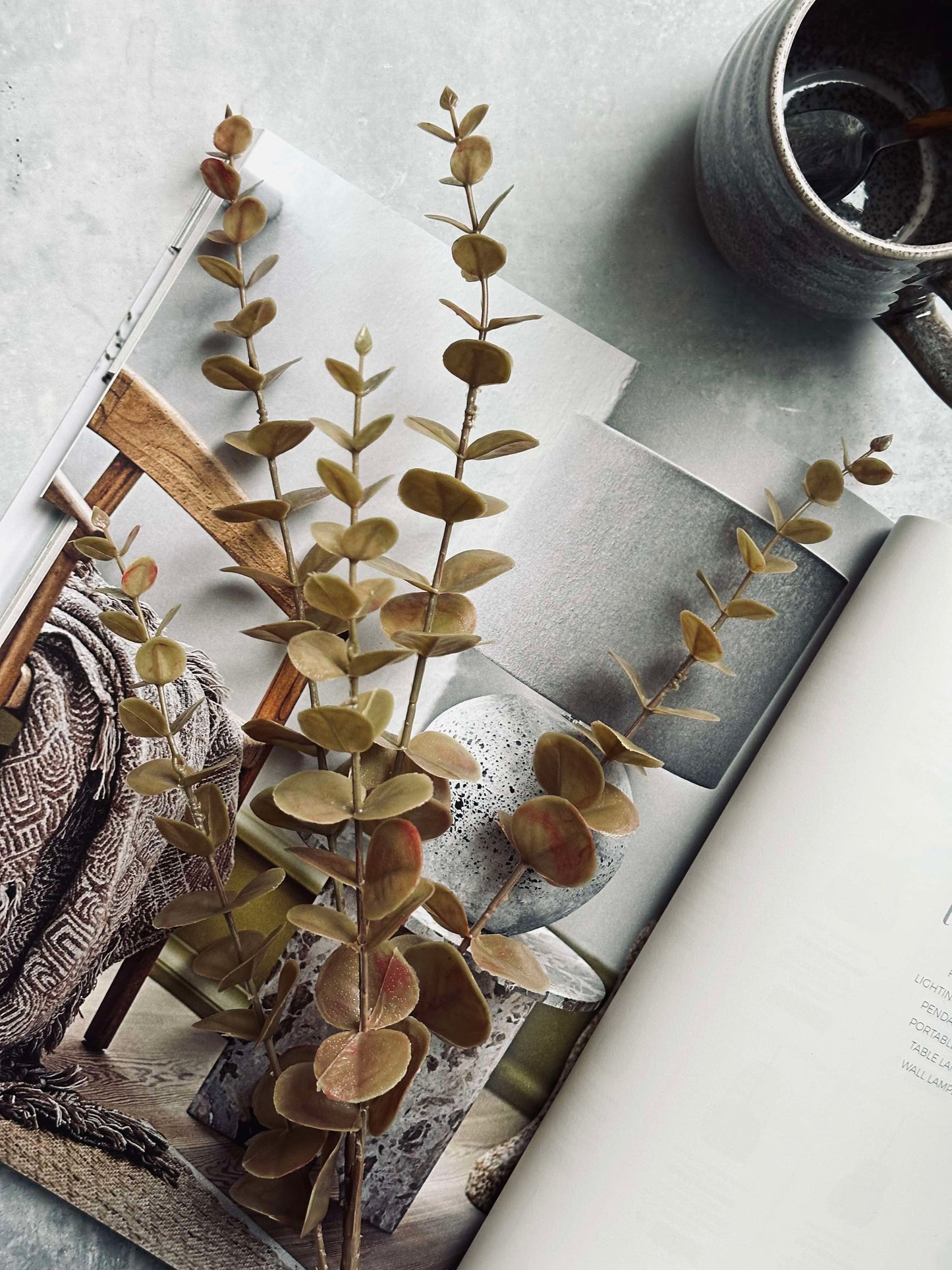 Blomster eucalyptus - Gylden