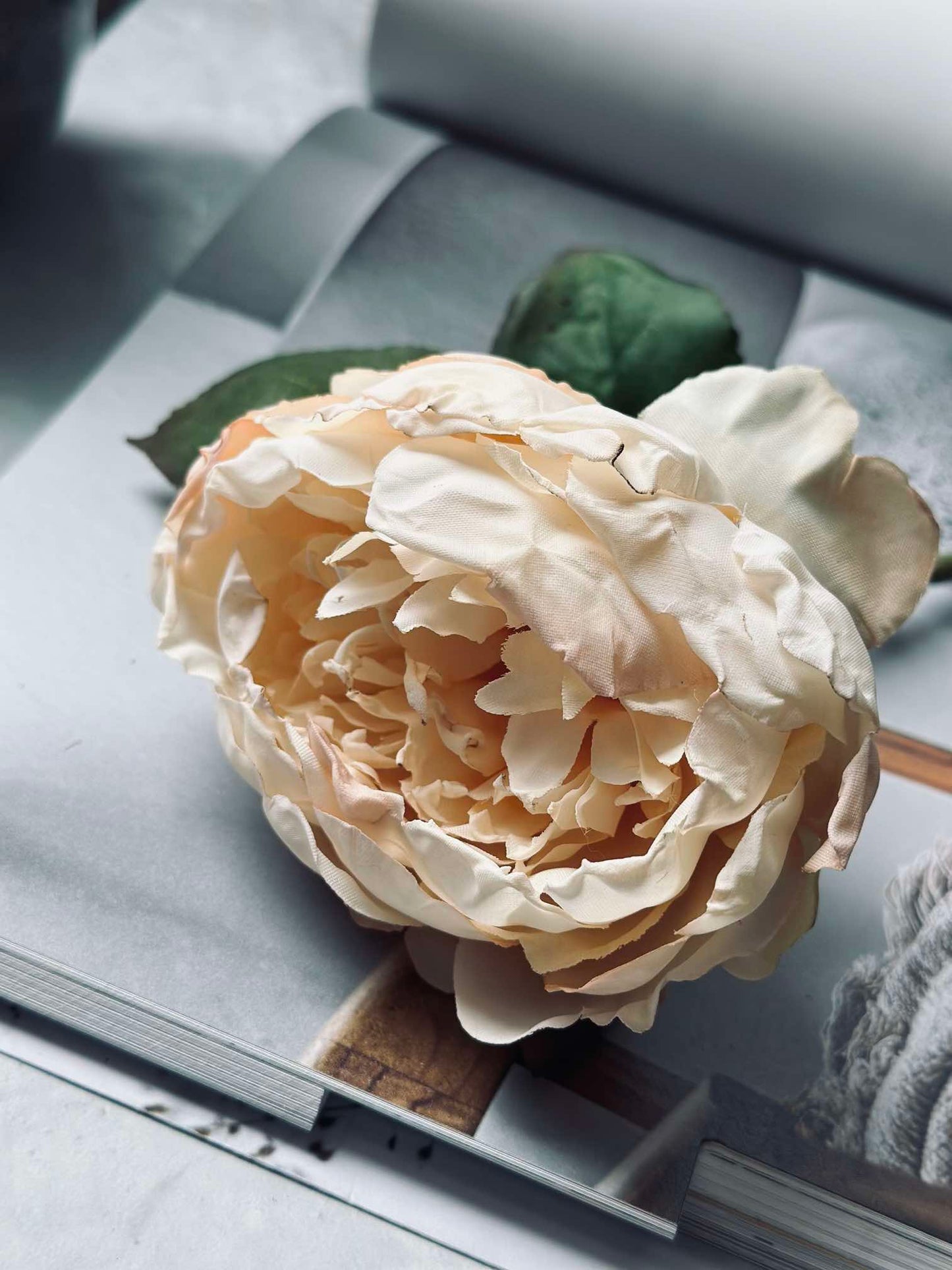Blomst silk Pæon Creme