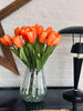 Tulipaner Orange