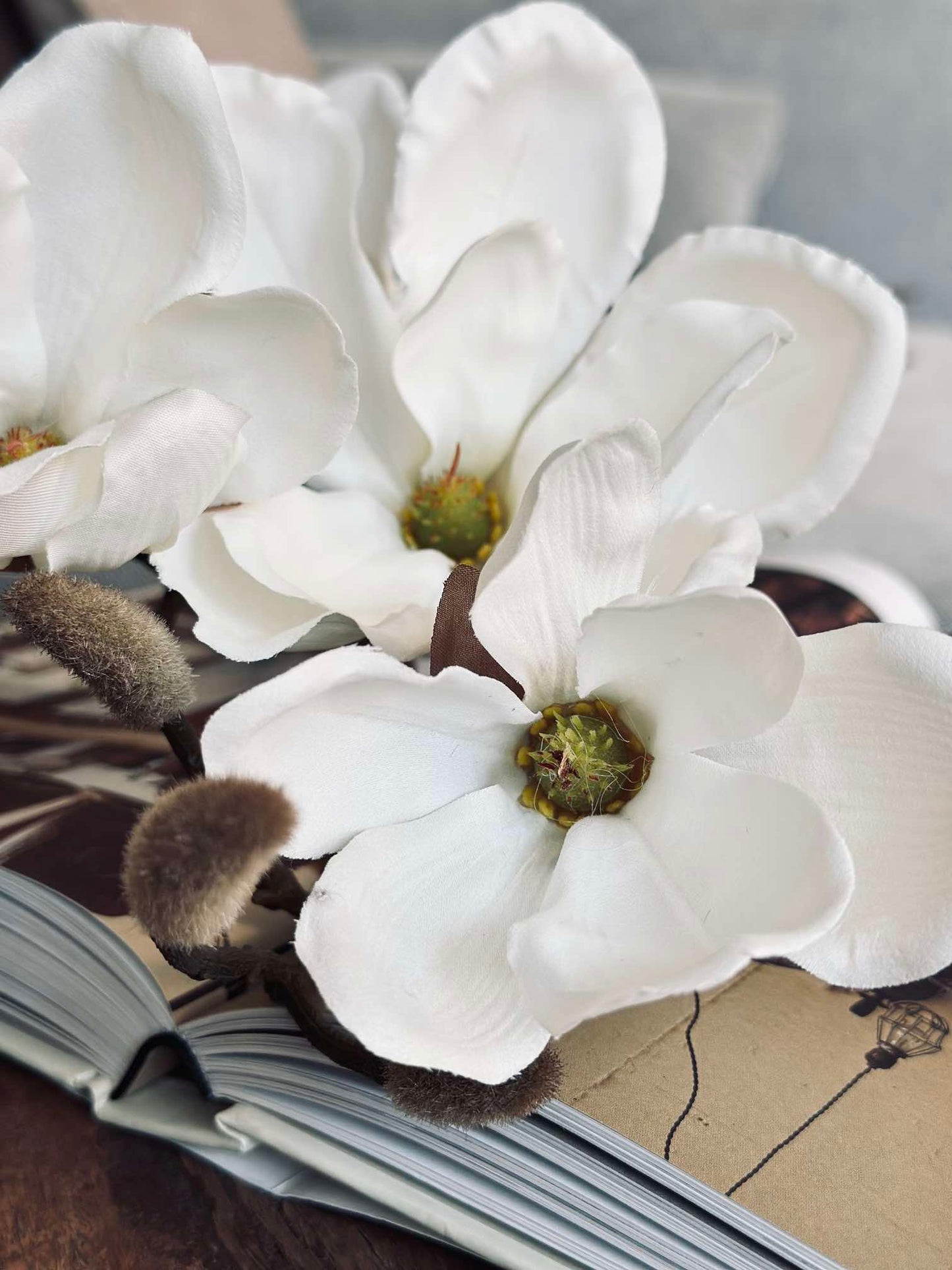 Magnoliagren - 92cm