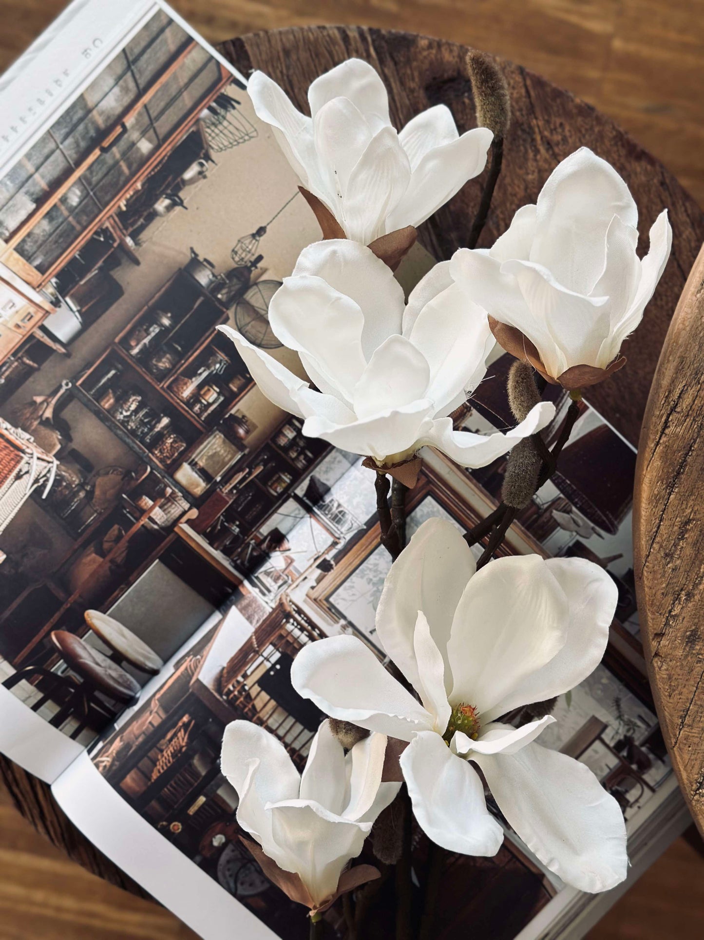 Magnoliagren - 92cm