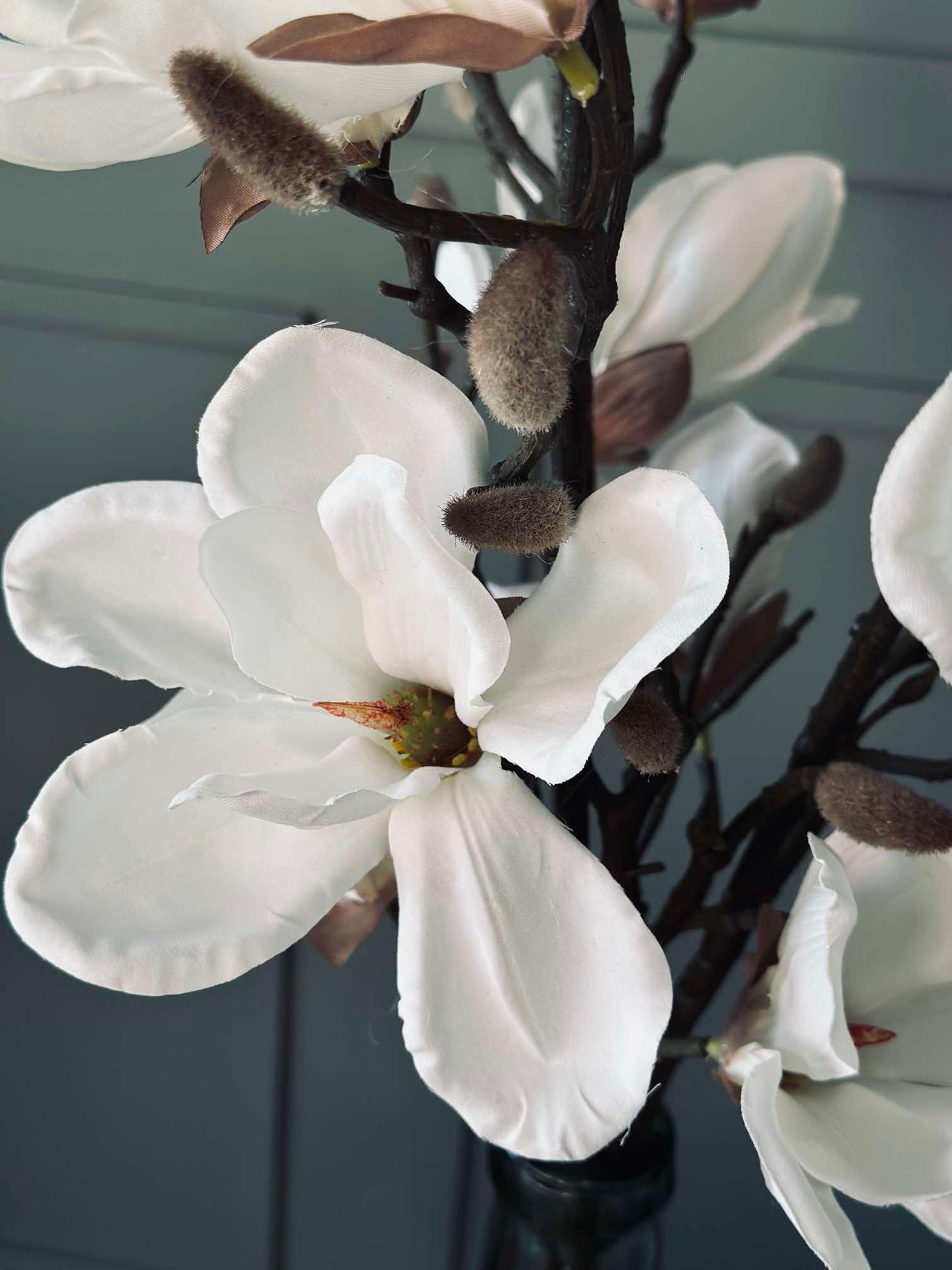Magnoliagren - 92cm