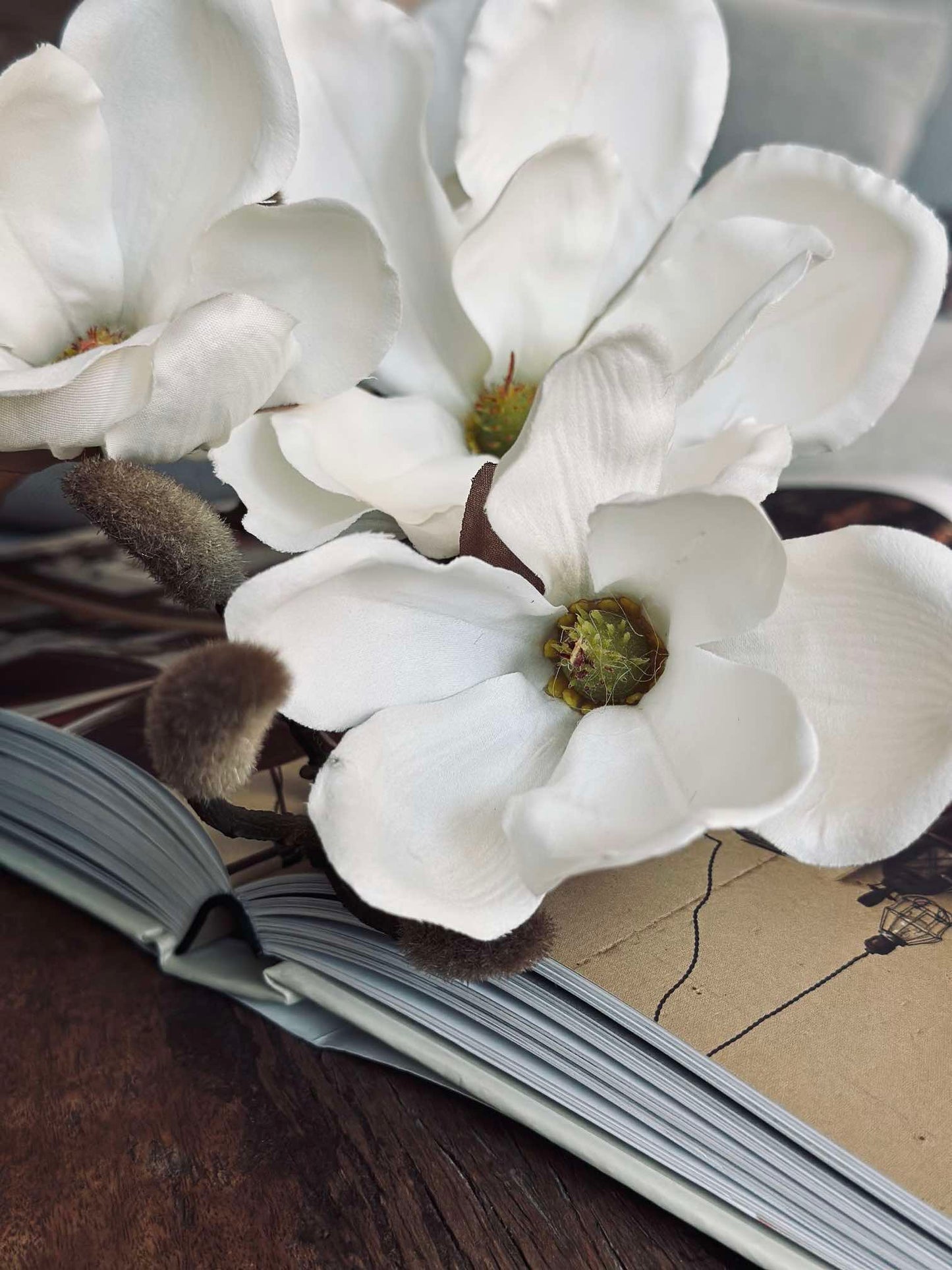 Magnoliagren - 92cm
