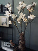 Magnoliagren med lys